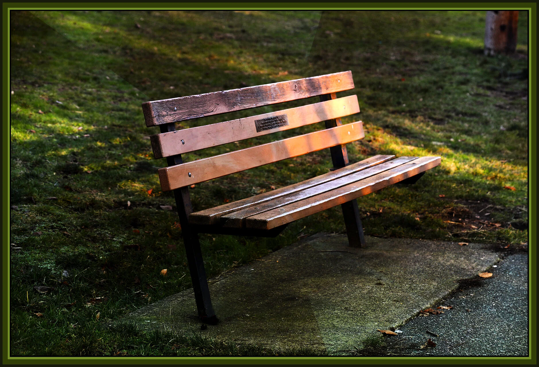 Bench in New Wesminster_Jan 13_2019_HDR_D2079_peET029_4x6s.jpg