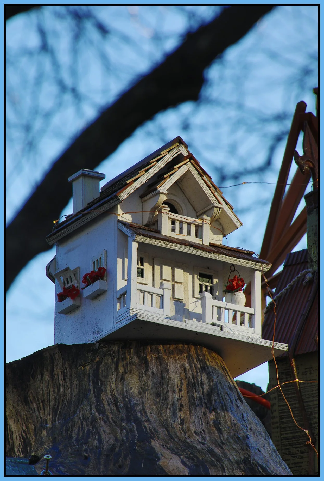 580 Heatley Bird House_Jan 15_2025_HDR_5E7934_4x6s.jpg