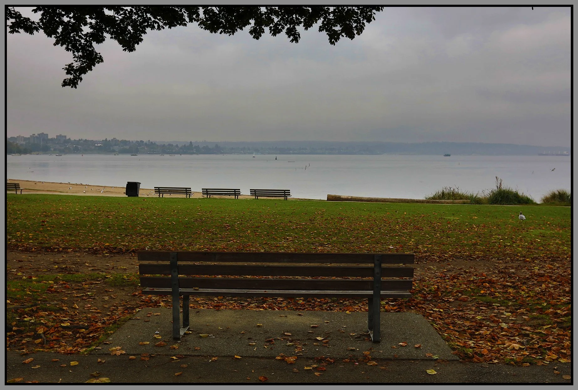 Bench in English Bay_Oct 5_2020_HDR_4G6923_4x6s.jpg