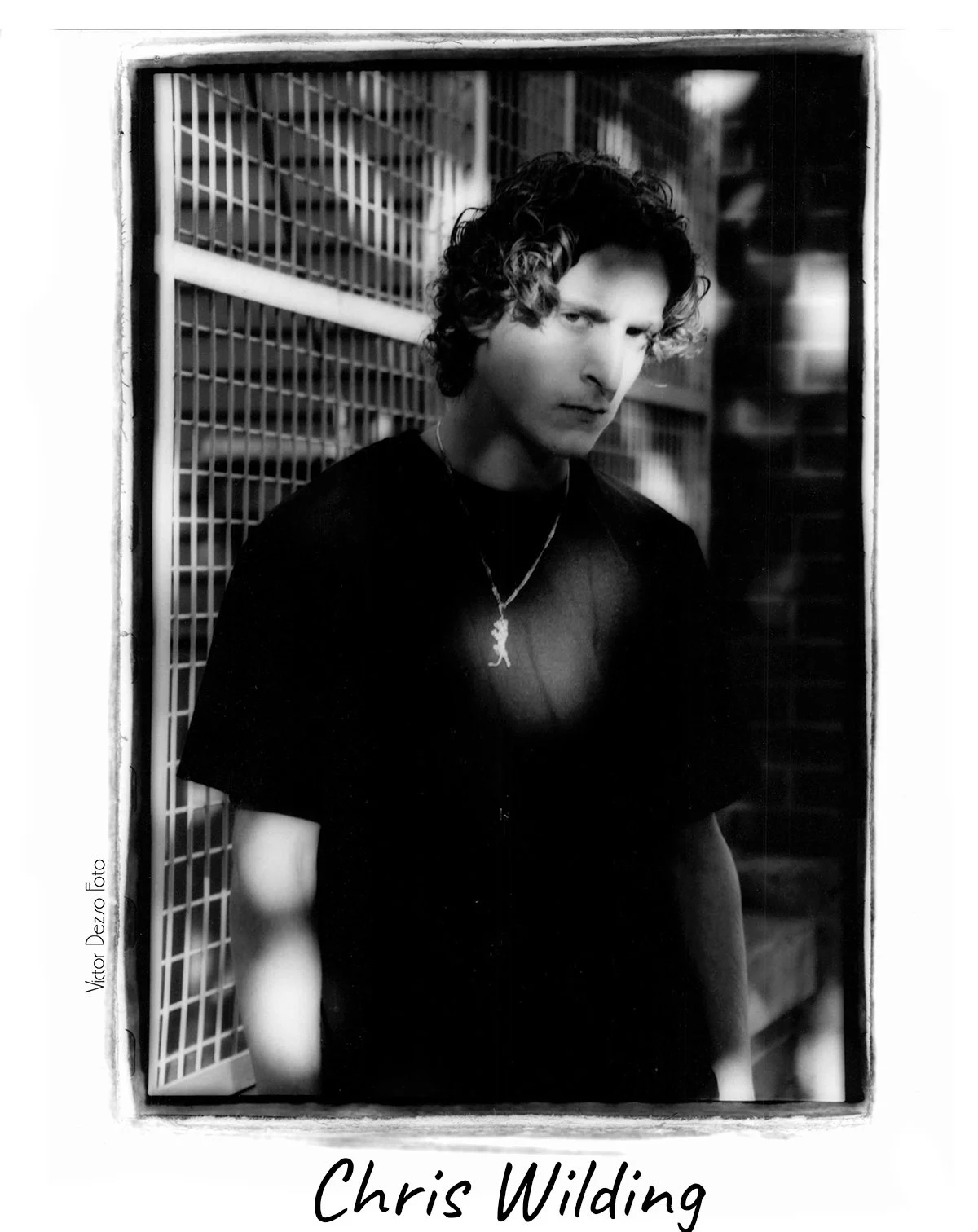 Chris Wilding_4x5s.jpg