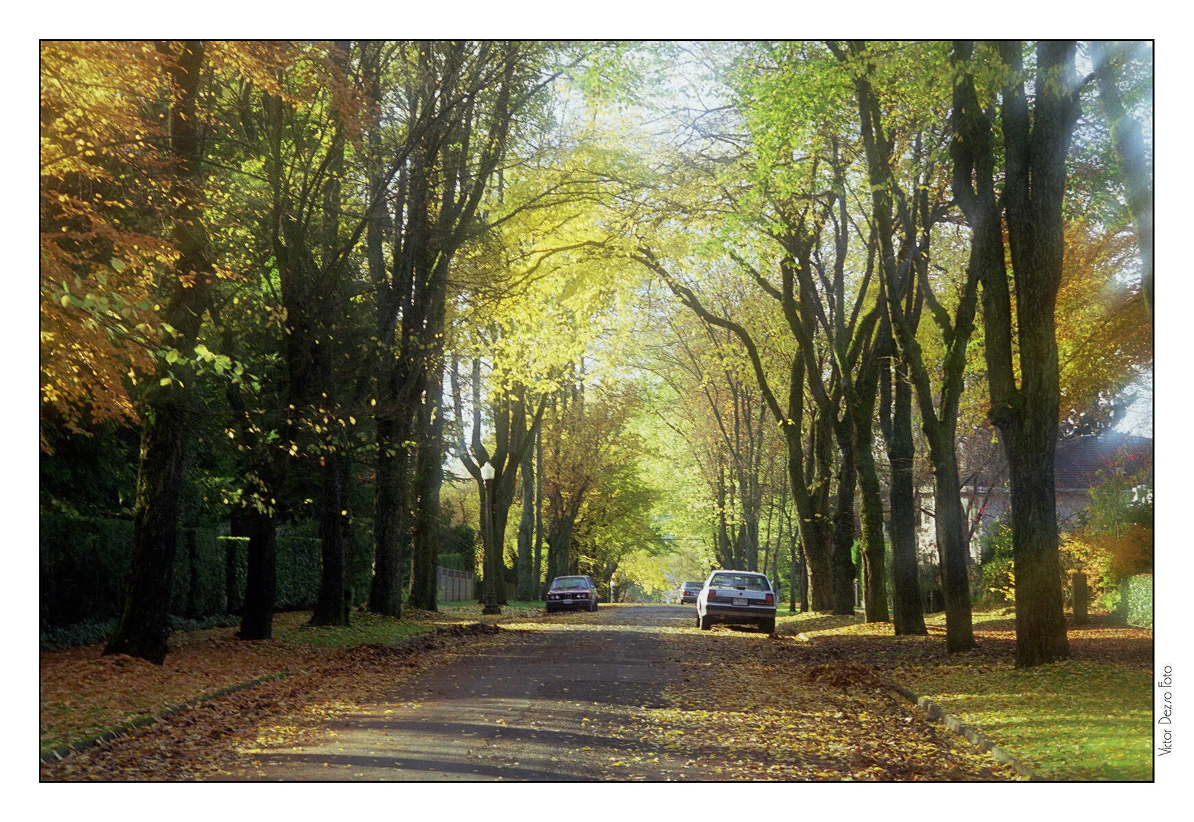 Autumn Sreets_Nov 8_1997_18_4x6s.jpg