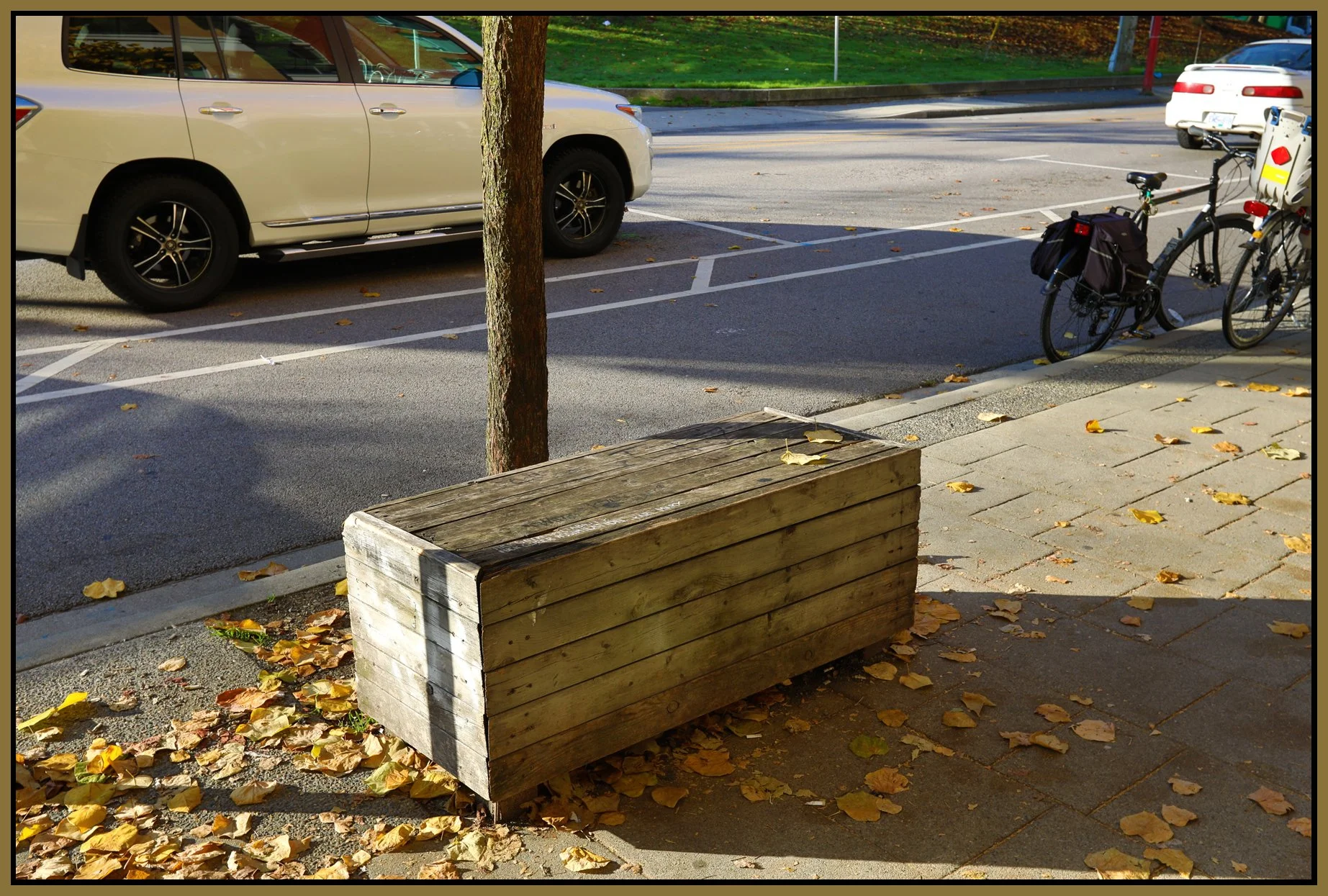 Bench on Union Ave_Oct 30_2017_HDR_B5620_4x6s.jpg