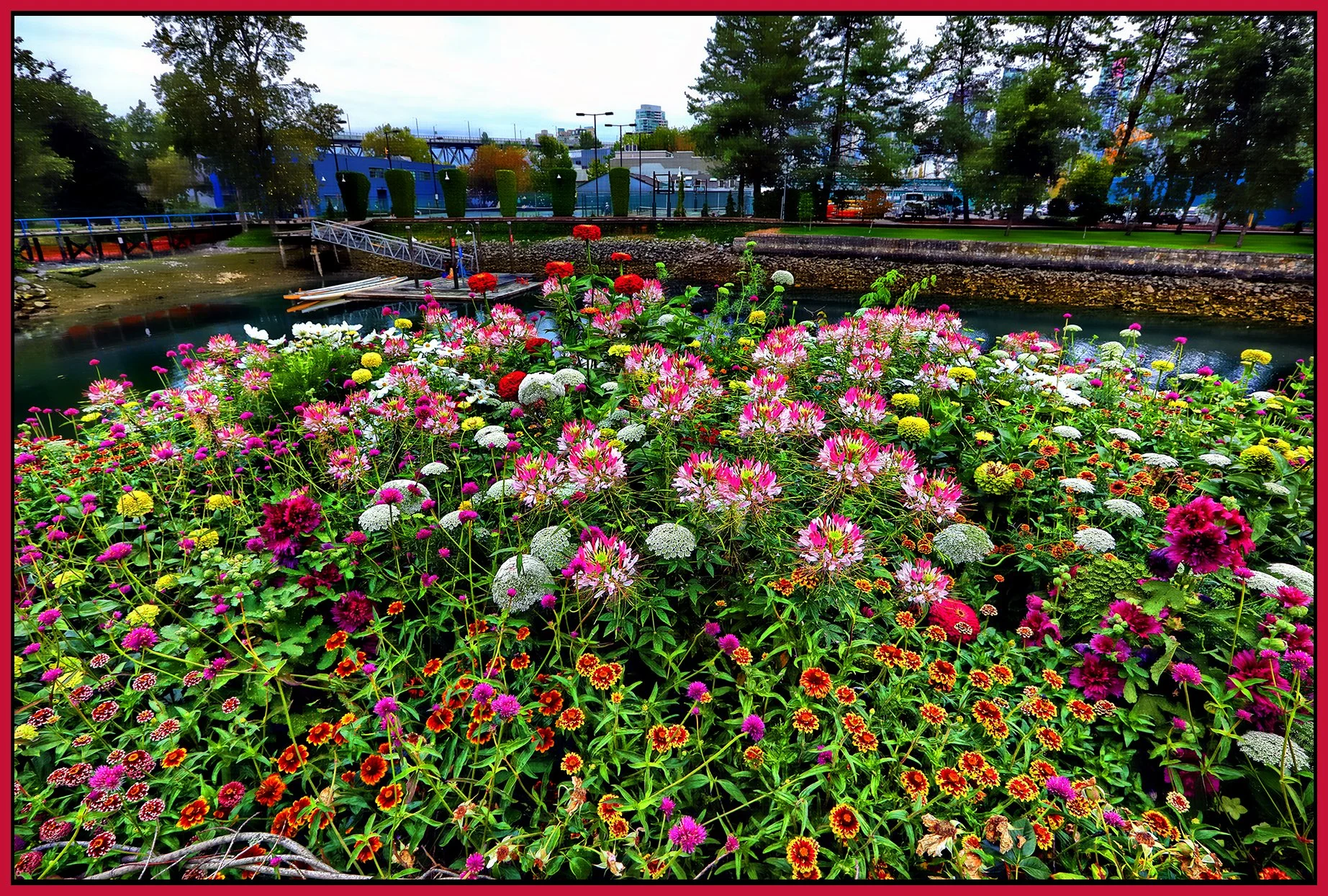 Flowers_Aug 14_2024_HDR_5E8210_peHdr2013_1_4x6s.jpg
