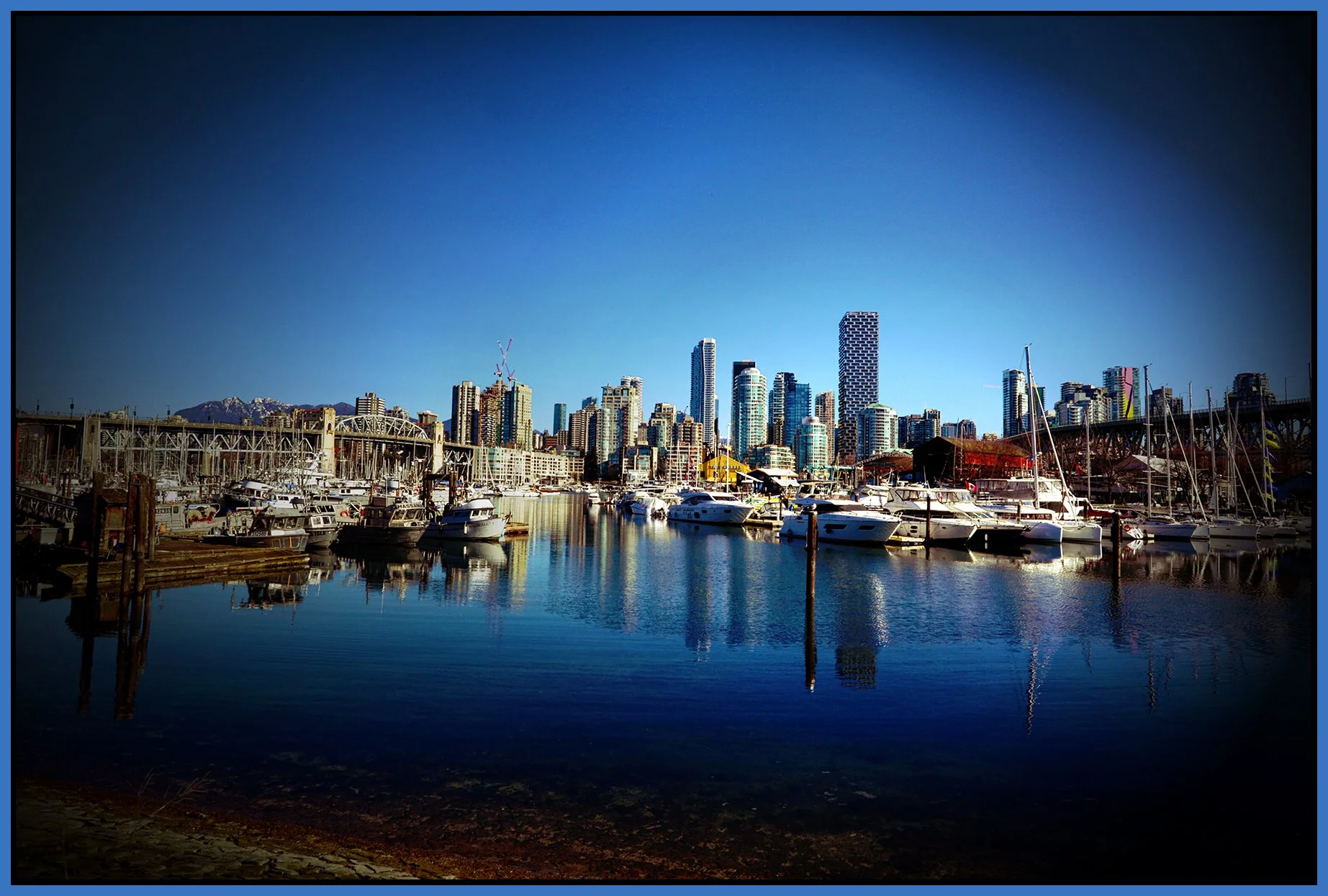 Island Park Walk LkgN_Mar 1_2026_HDR_4K9191_pePopDrkn_4x6s.jpg