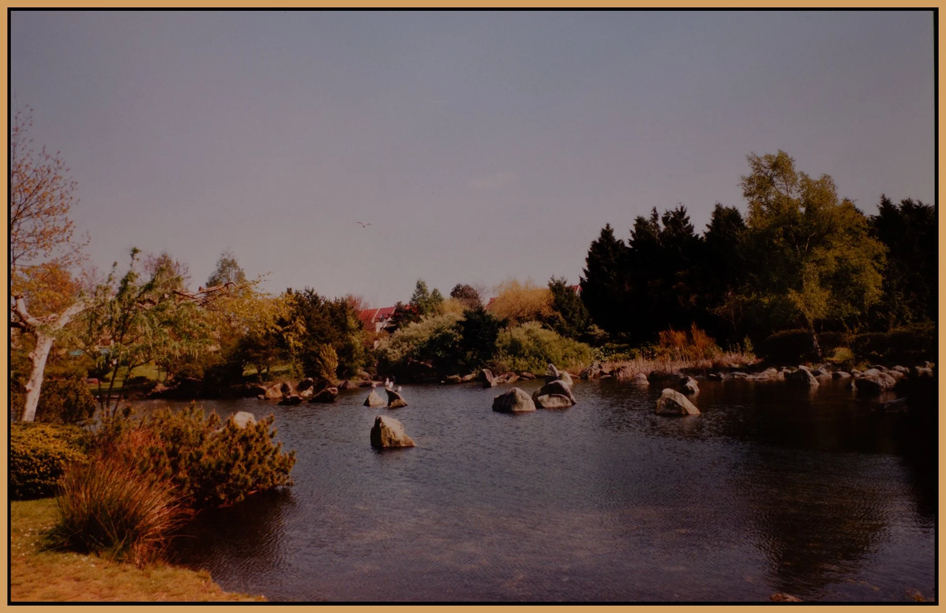 Charleson Park Pond_1998_9202_4x6s.jpg