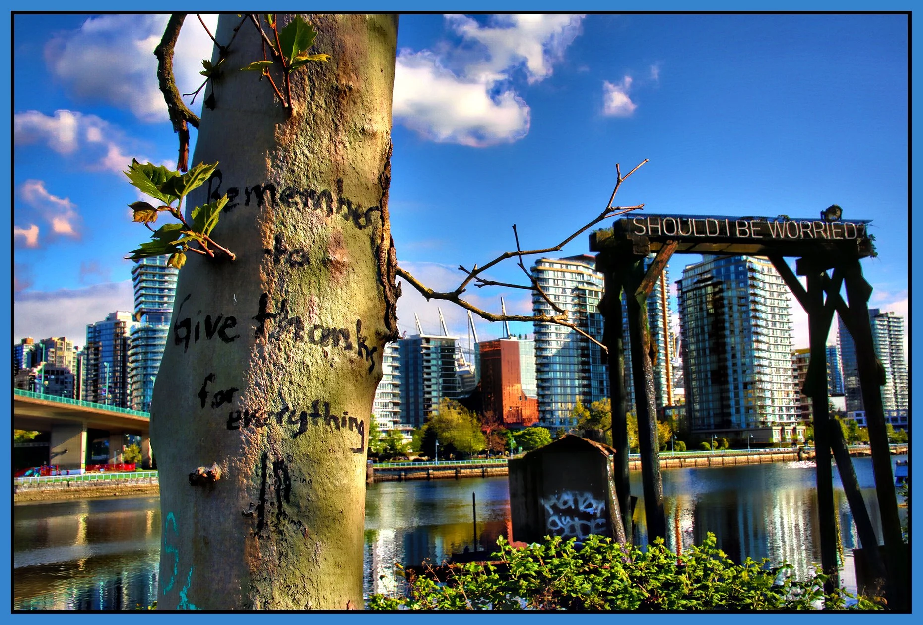 False Creek Tree_Apr 30_2020_HDR_3B4572_peAccntLite_4x6s.jpg