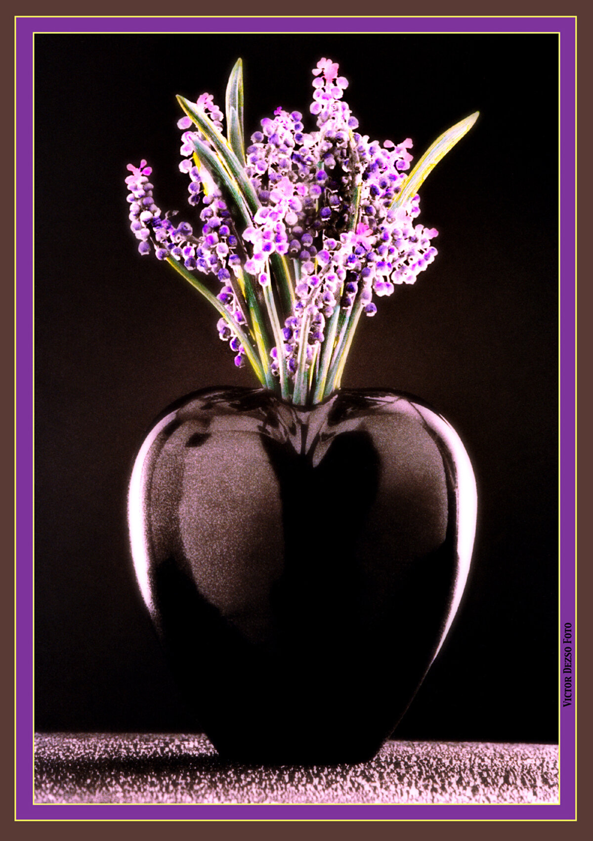 Heart Vase_02_09_03_4x6s.jpg