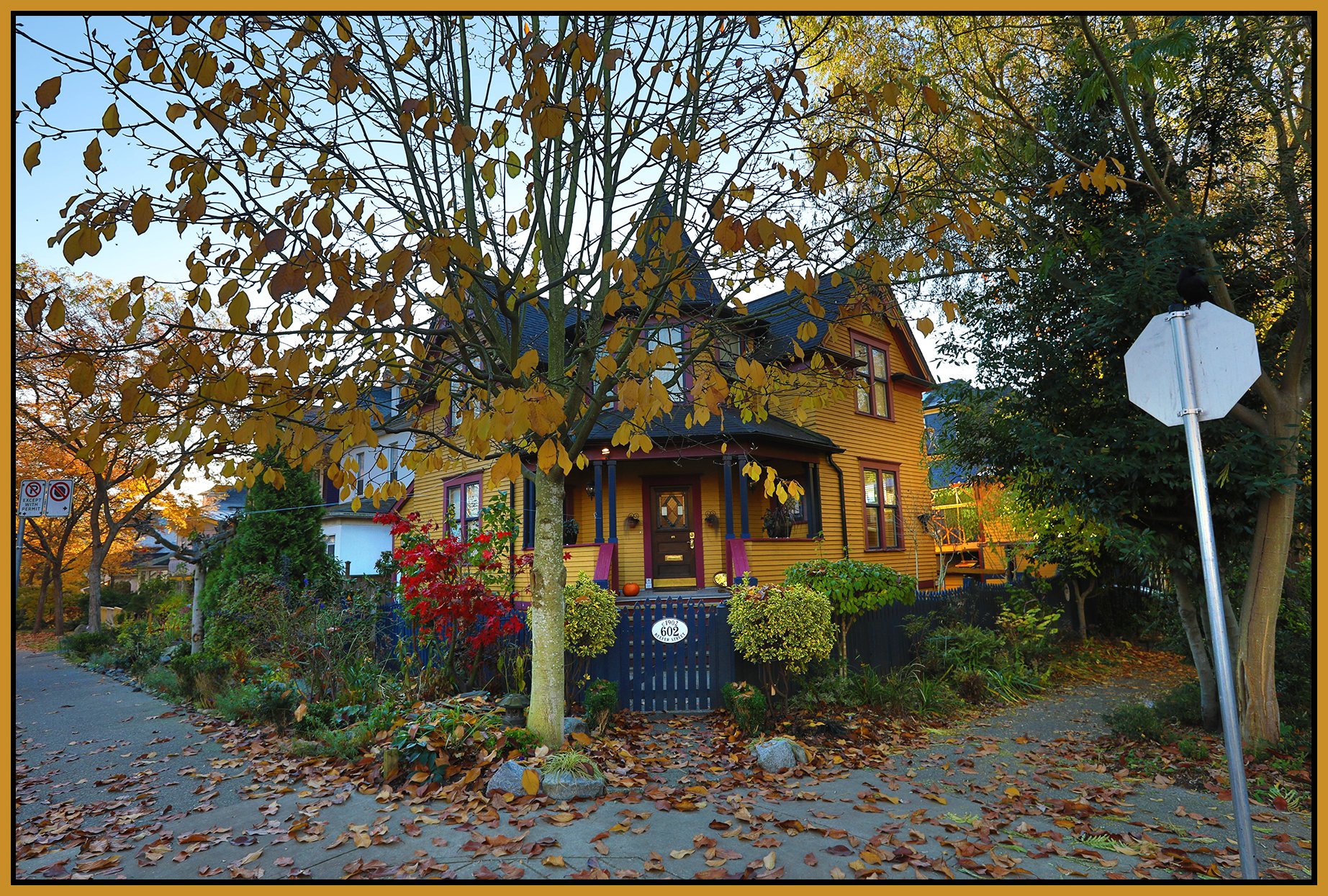 602 Keefer St Strathcona_Nov 6_2019_HDR_F1928_4x6s.jpg