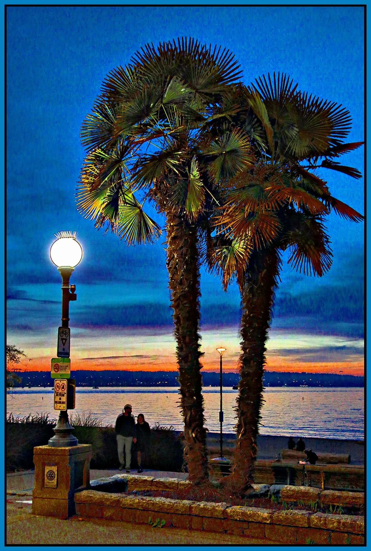 English Bay Palms_Oct 8_2026_HDR_5F6725_peGio_4x6s.jpg