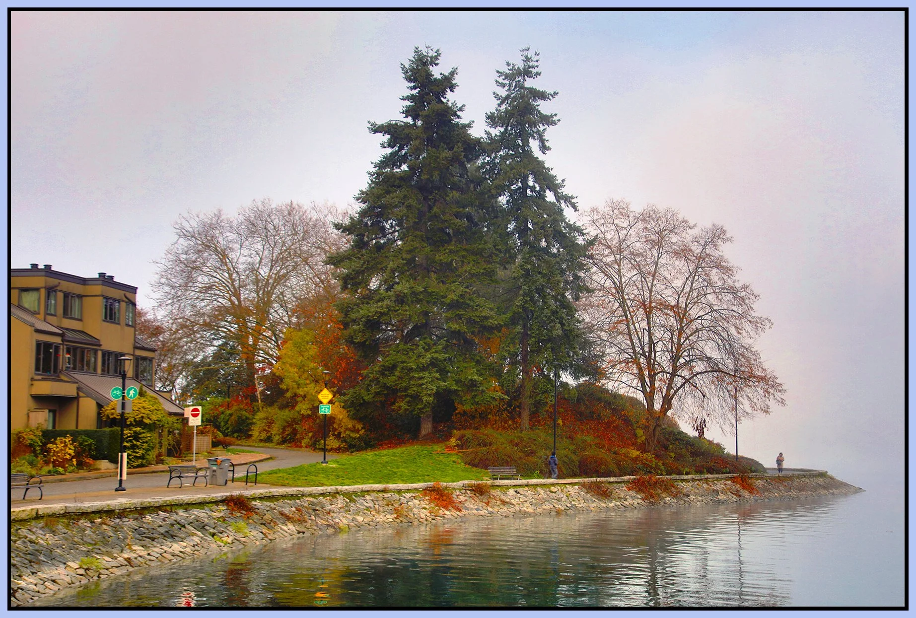 False Creek Trees in Fog_Nov 29_2023_HDR_4H9260_peHyperstrip_Pop_4x6s.jpg