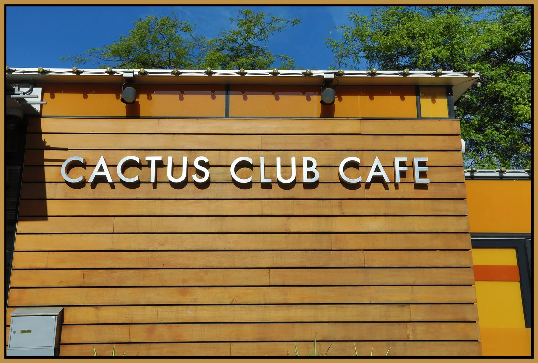 Cactus Club Cafe Sign_Aug 10_2026_HDR_4L9938_4x6s.jpg