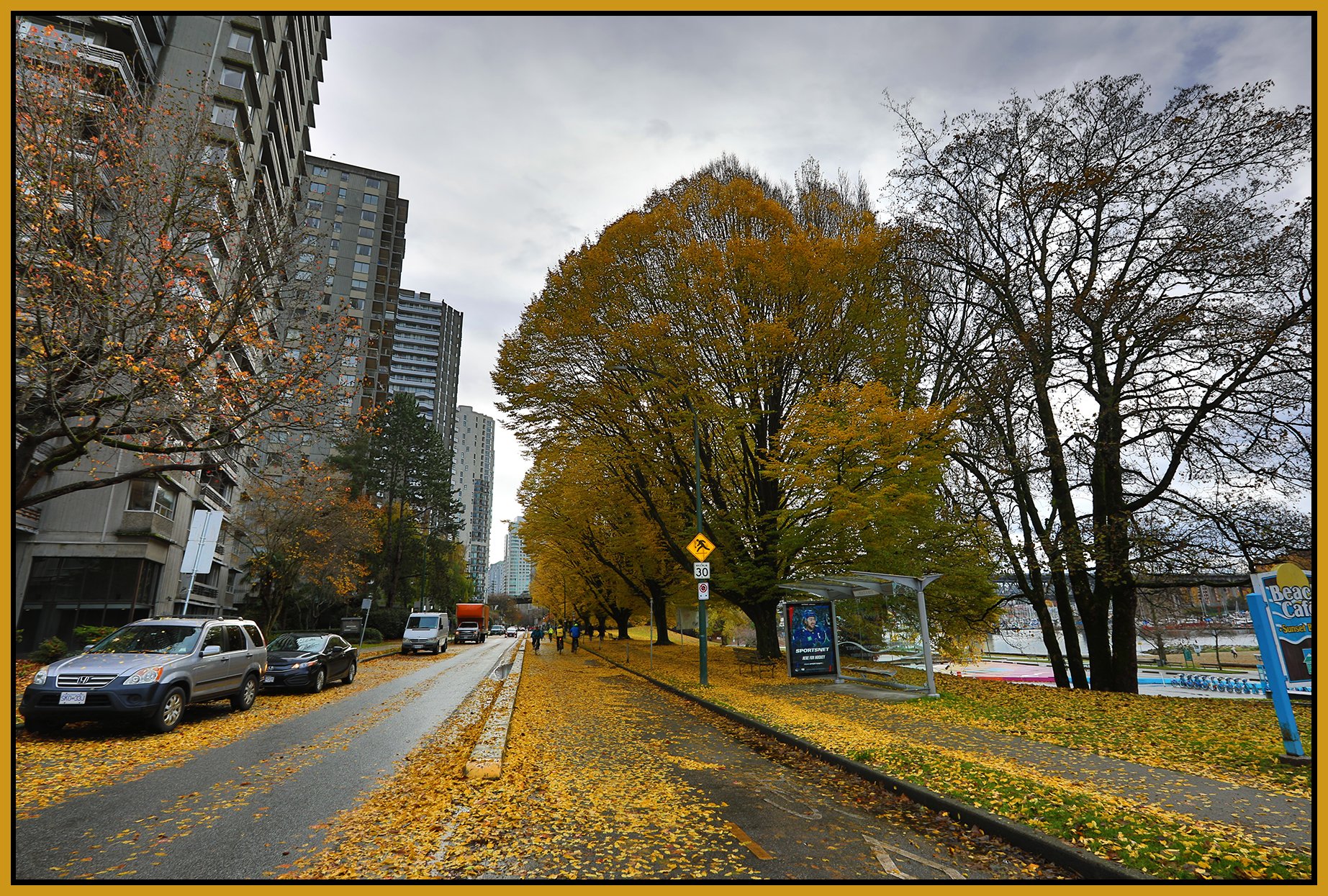 Beach Ave Trees LkgE_Nov 12_2023_HDR_5C9432_4x6s.jpg