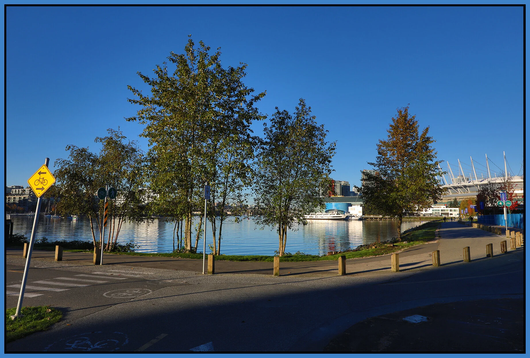 6 View Trees_Oct 13_2018_HDR_D5740_4x6s.jpg