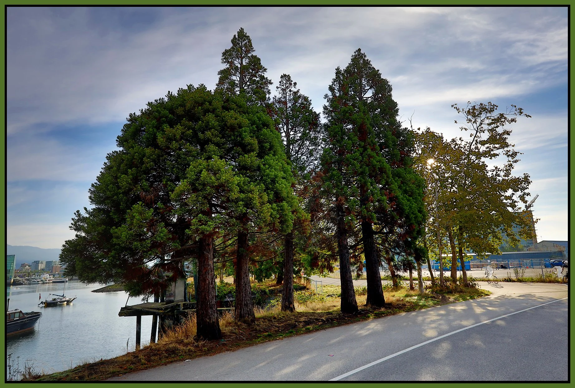 3.2 View_False Ck Trees_Sep 20_2018_HDR_D0368_4x6s.jpg