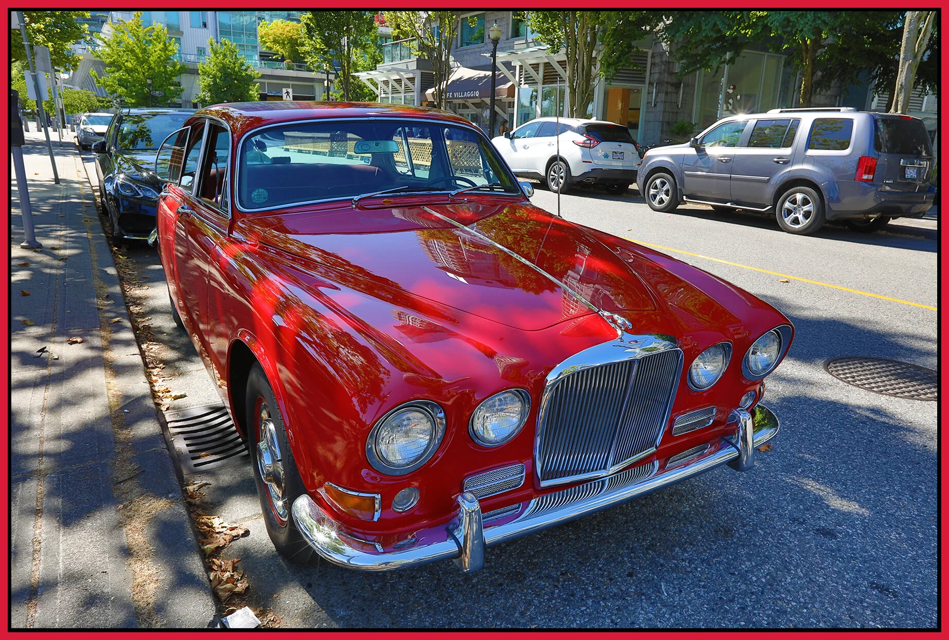 Jaguar_Jul 25_2021_HDR_5A5427_4x6s.jpg