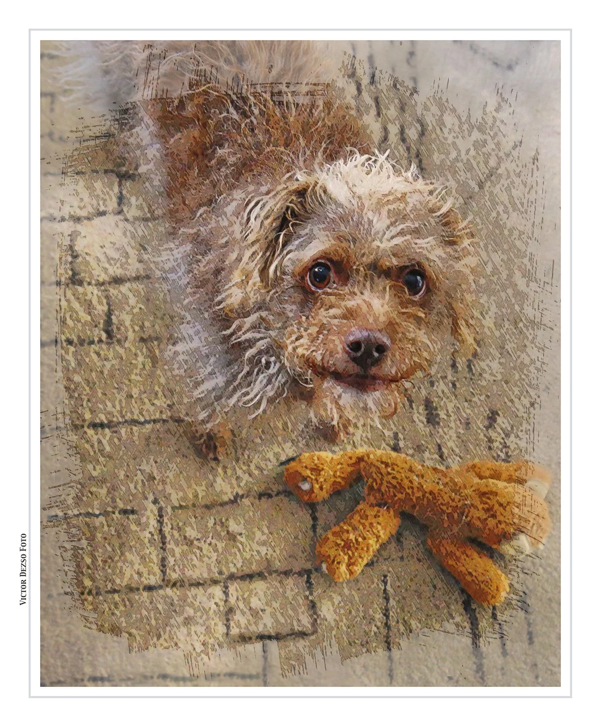 Frances_Apr 5_2023_HDR_4H5749_peHyprstrip_NicePastelDrawing_4x5.jpg