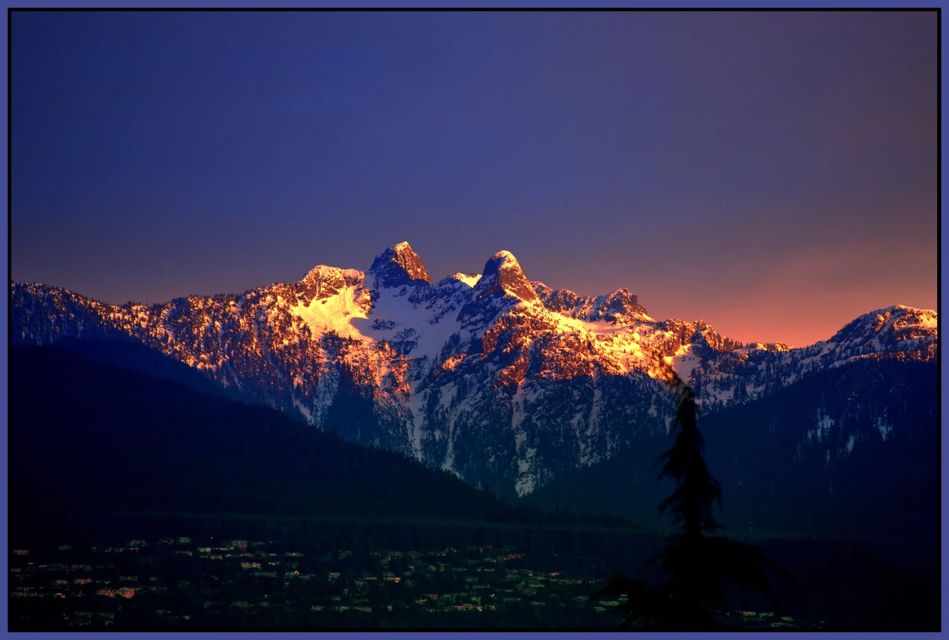 Lions Ears_Mar 1_2014_E2029_peVibWC_4x6s.jpg