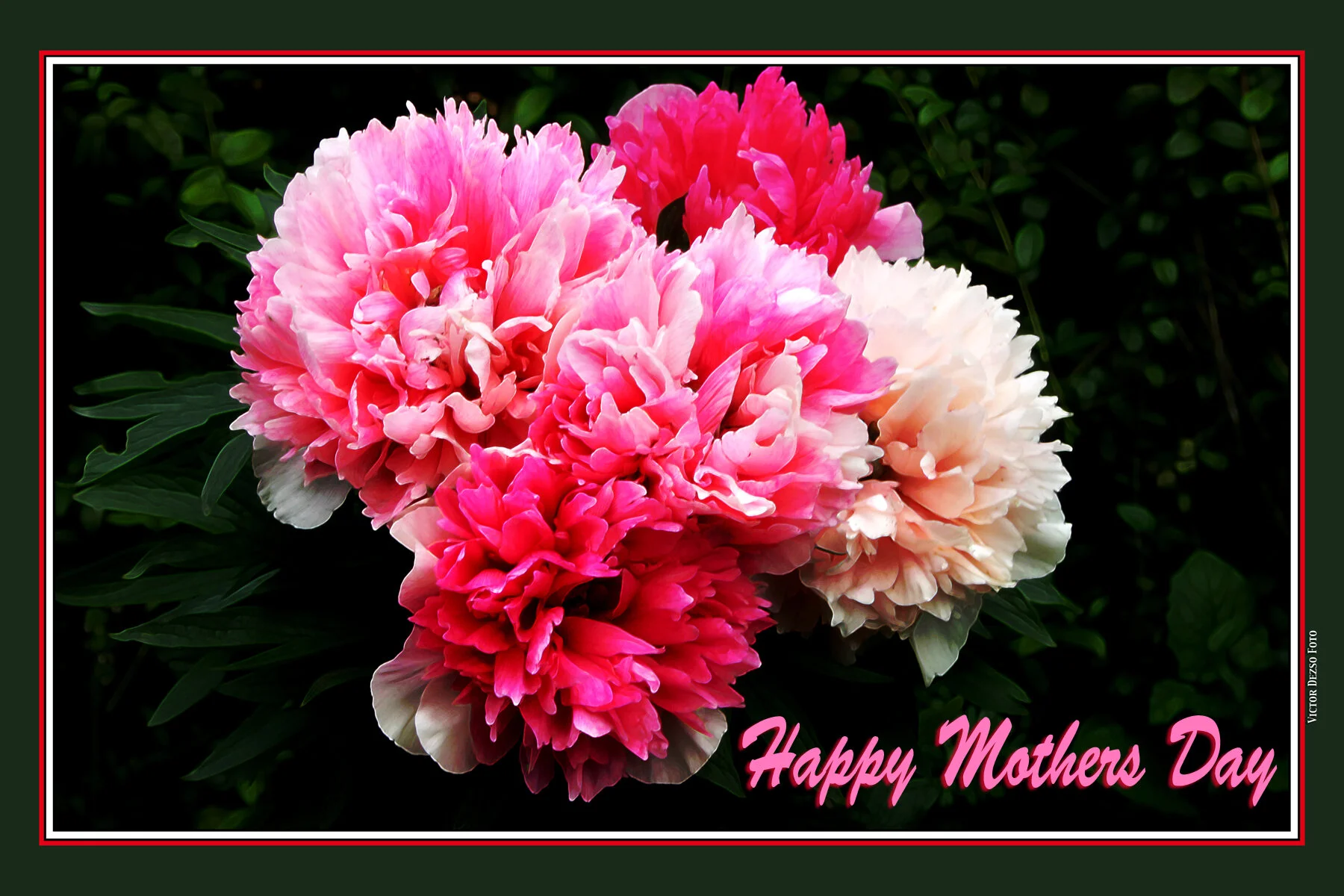 Happy Mothers day 2_9717_2_4x6.jpg