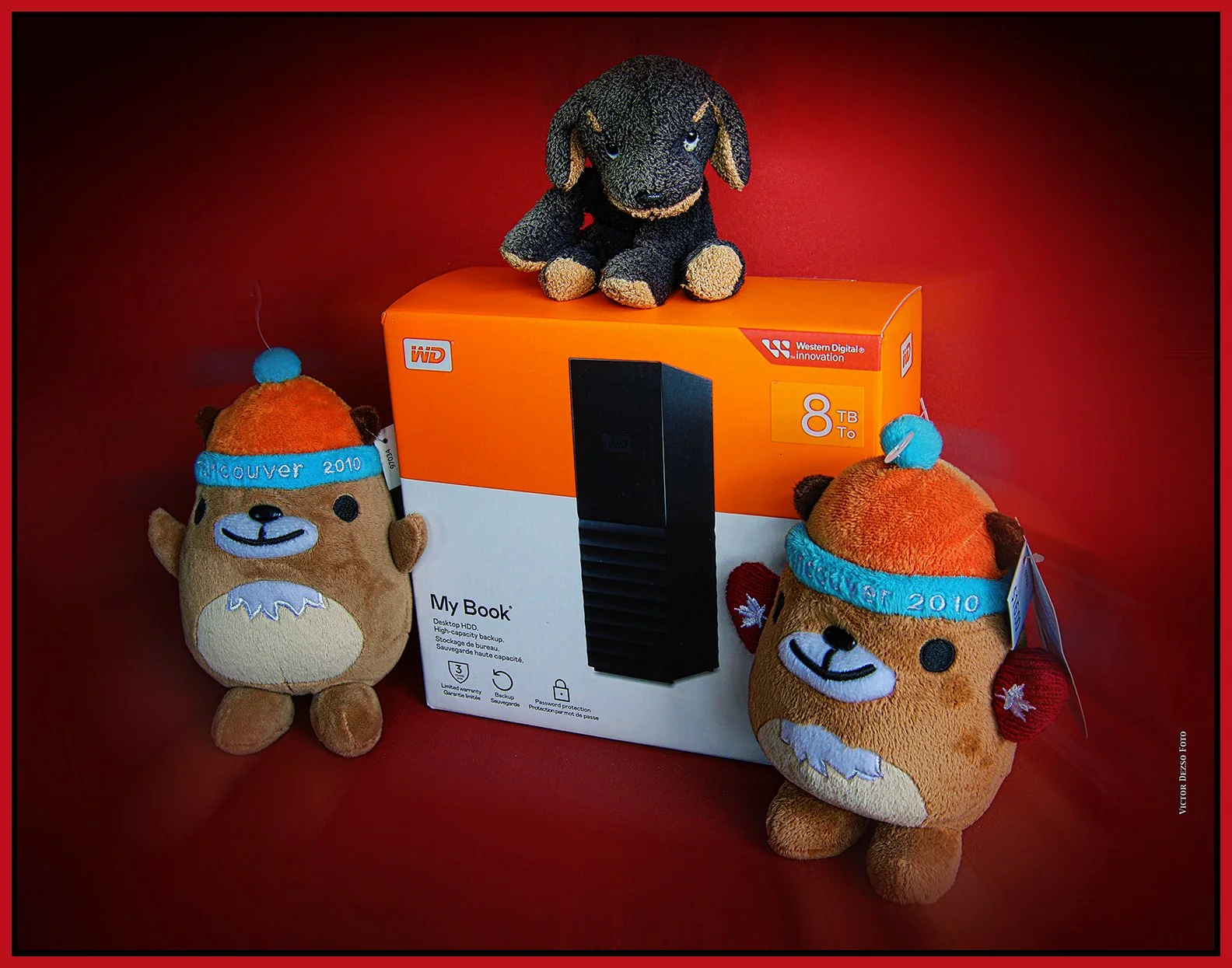 8 TB WD My Book HD_Dec 20_2024_HDR_4J4693B_peShrpfctBr_4x5s.jpg