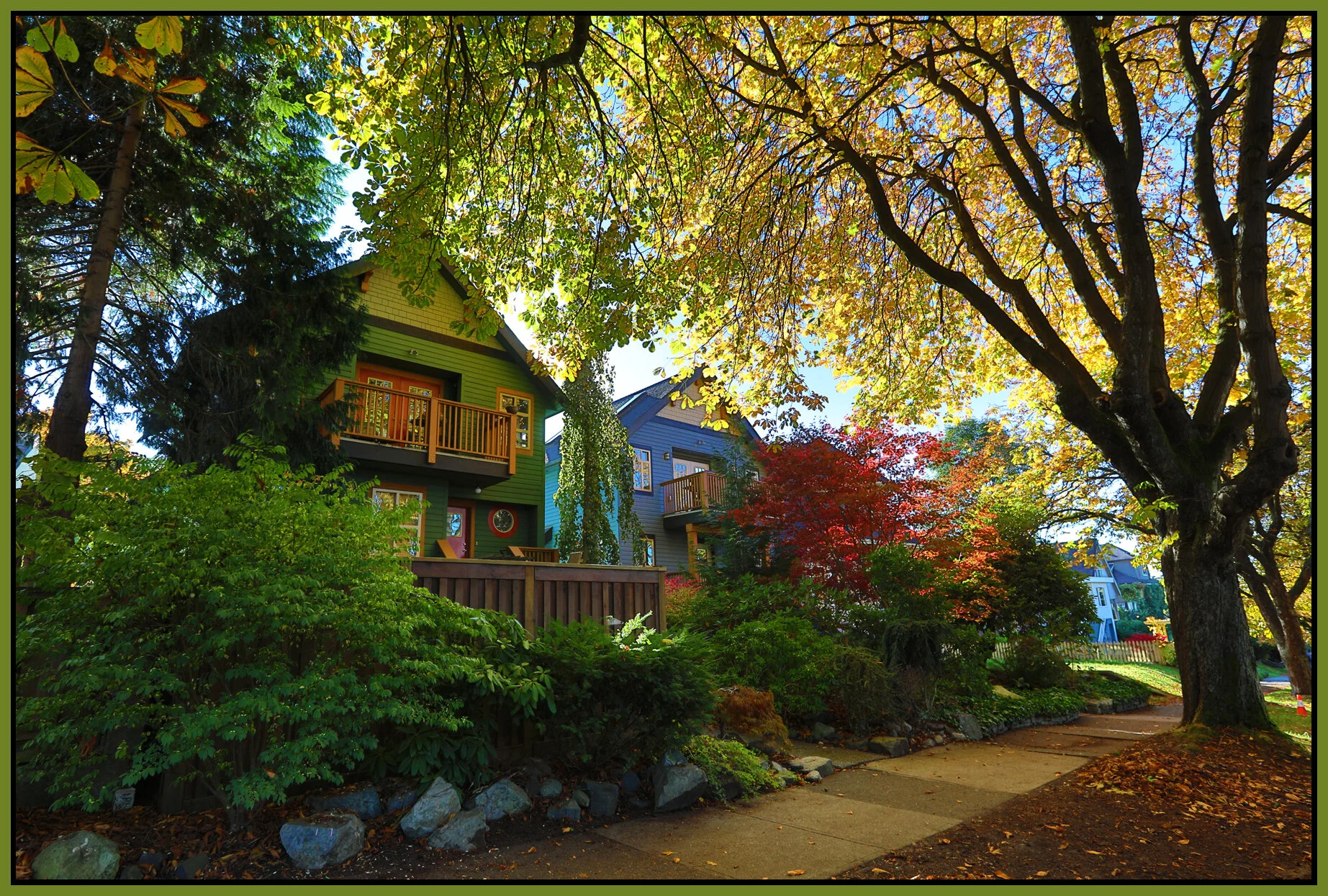 1888 Napier Trees_Oct 24_2017_HDR_B4267_4x6s.jpg