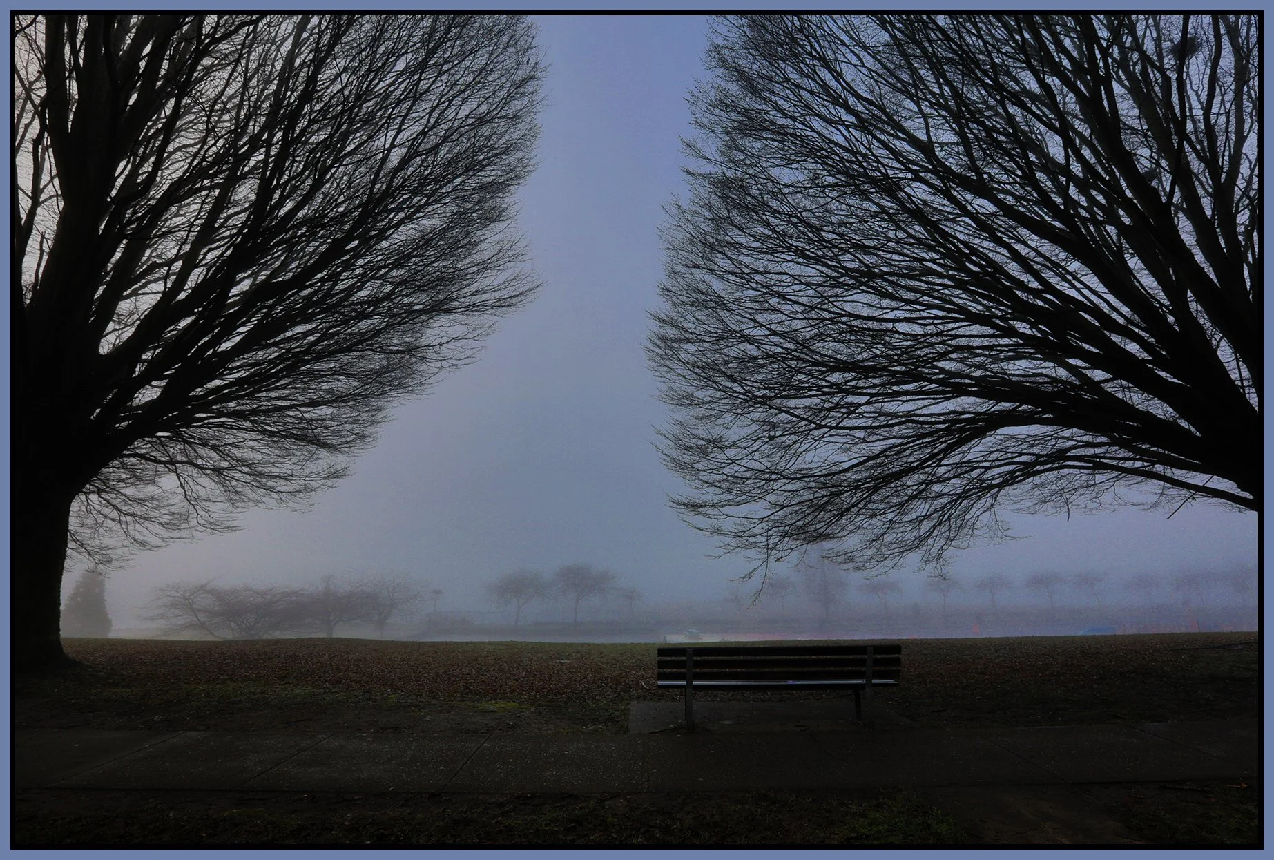 English Bay Trees on Beach Ave_Jan 19_2026_HDR_4K7306_peExpMrg_4x6s.jpg