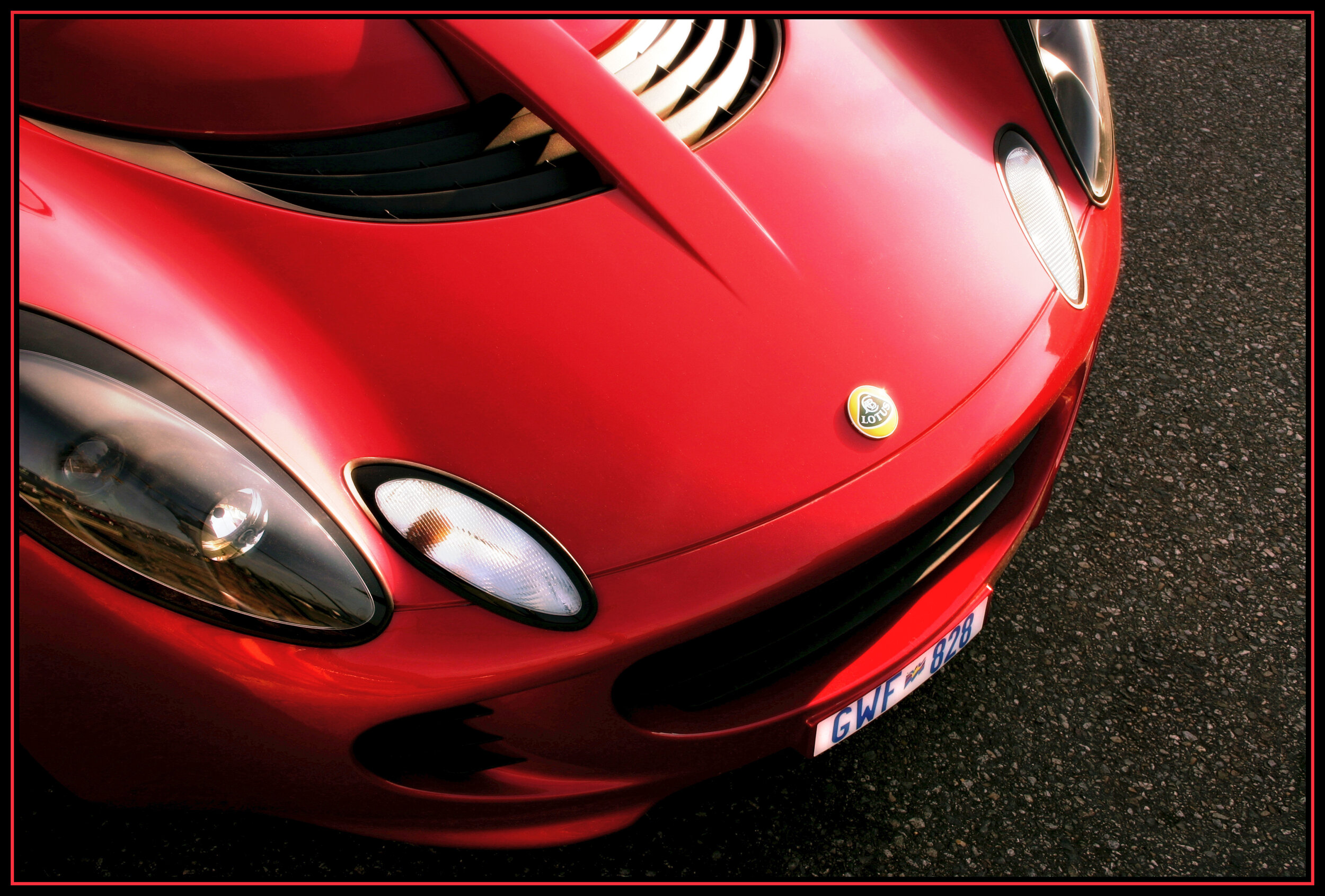 Lotus_1704abs.jpg