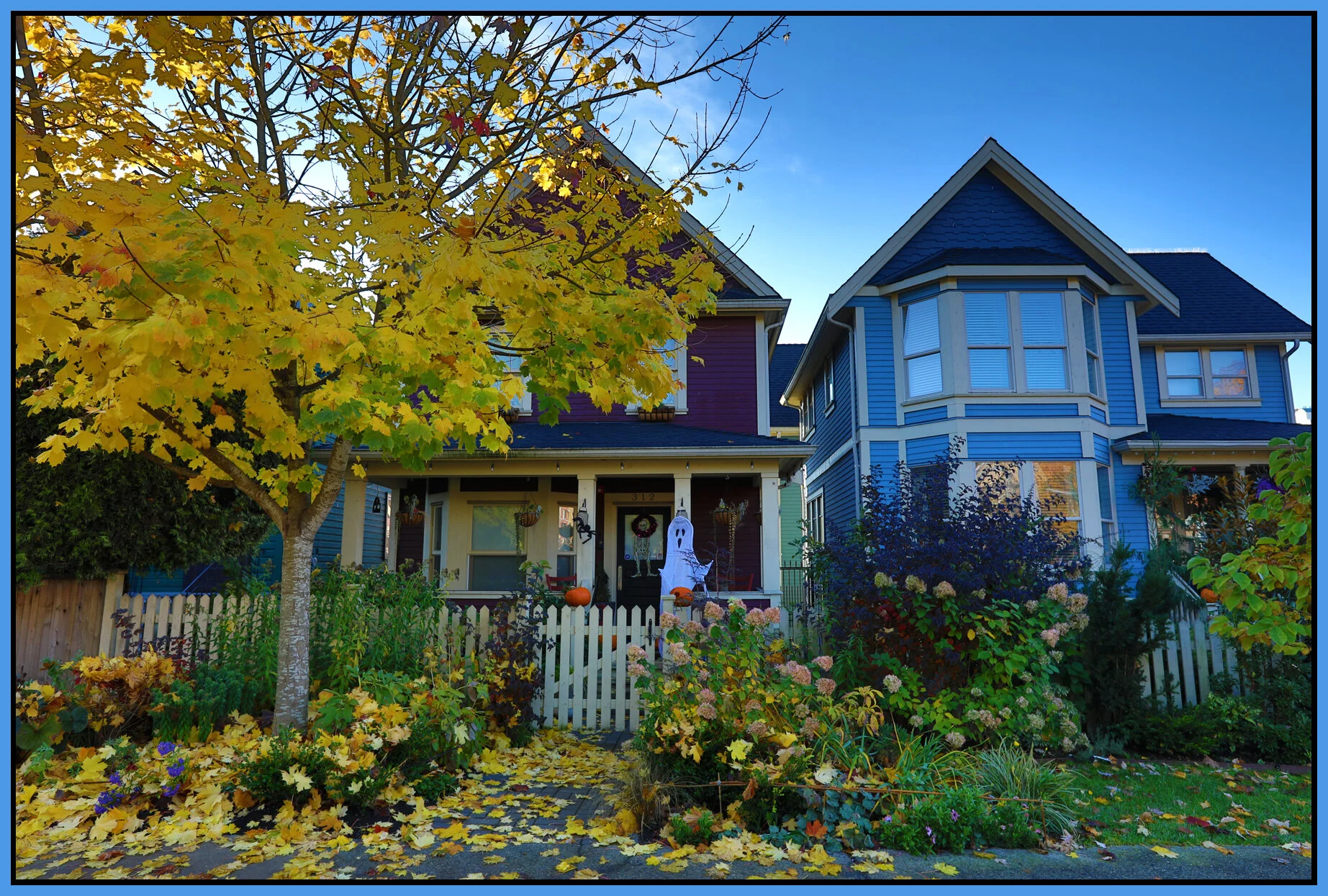 312 Union Ave tree_Oct 30_2017_HDR_B5608_4x6s.jpg