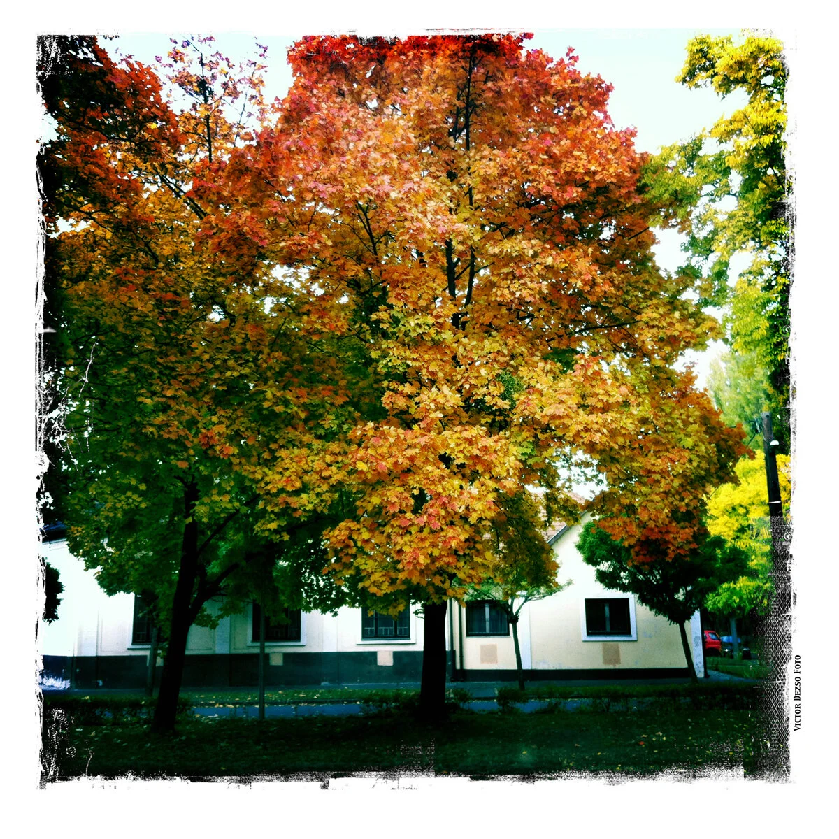 Vác_Oct 26_2011_0902_4x4.jpg