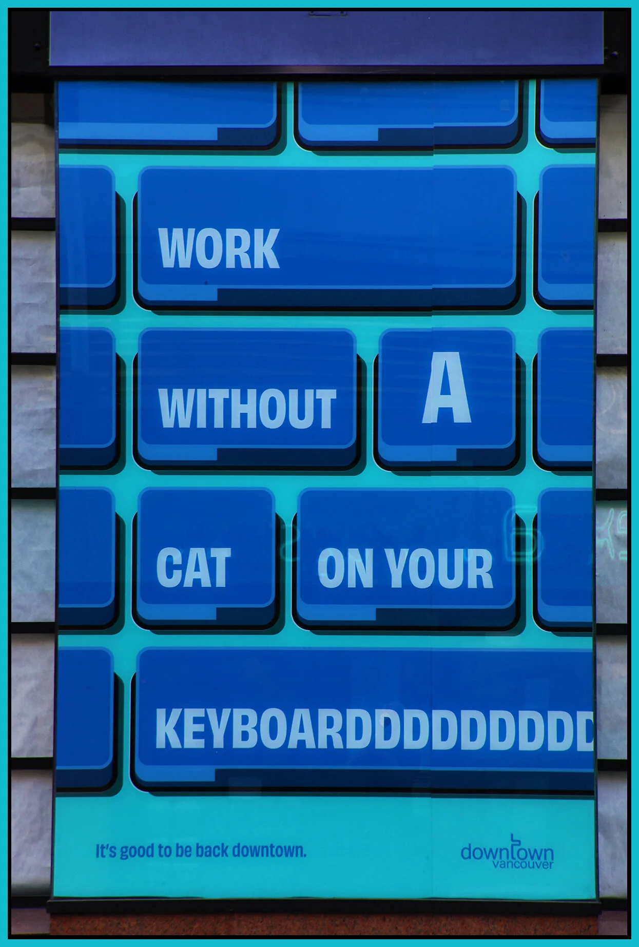 Cat on Keyboard Sign_Aug 3_2021_HDR_5A7529_4x6s.jpg