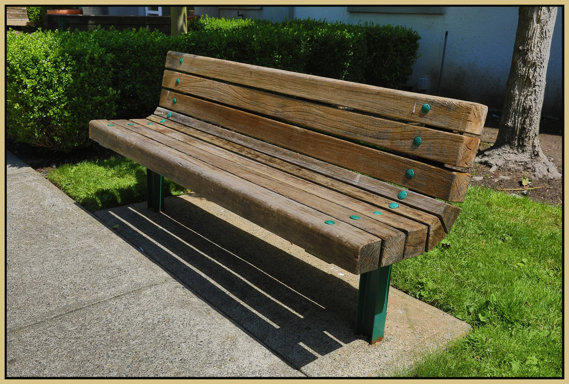 Bench at The Castle_Jun 30_2019_HDR_E4304_4x6s.jpg