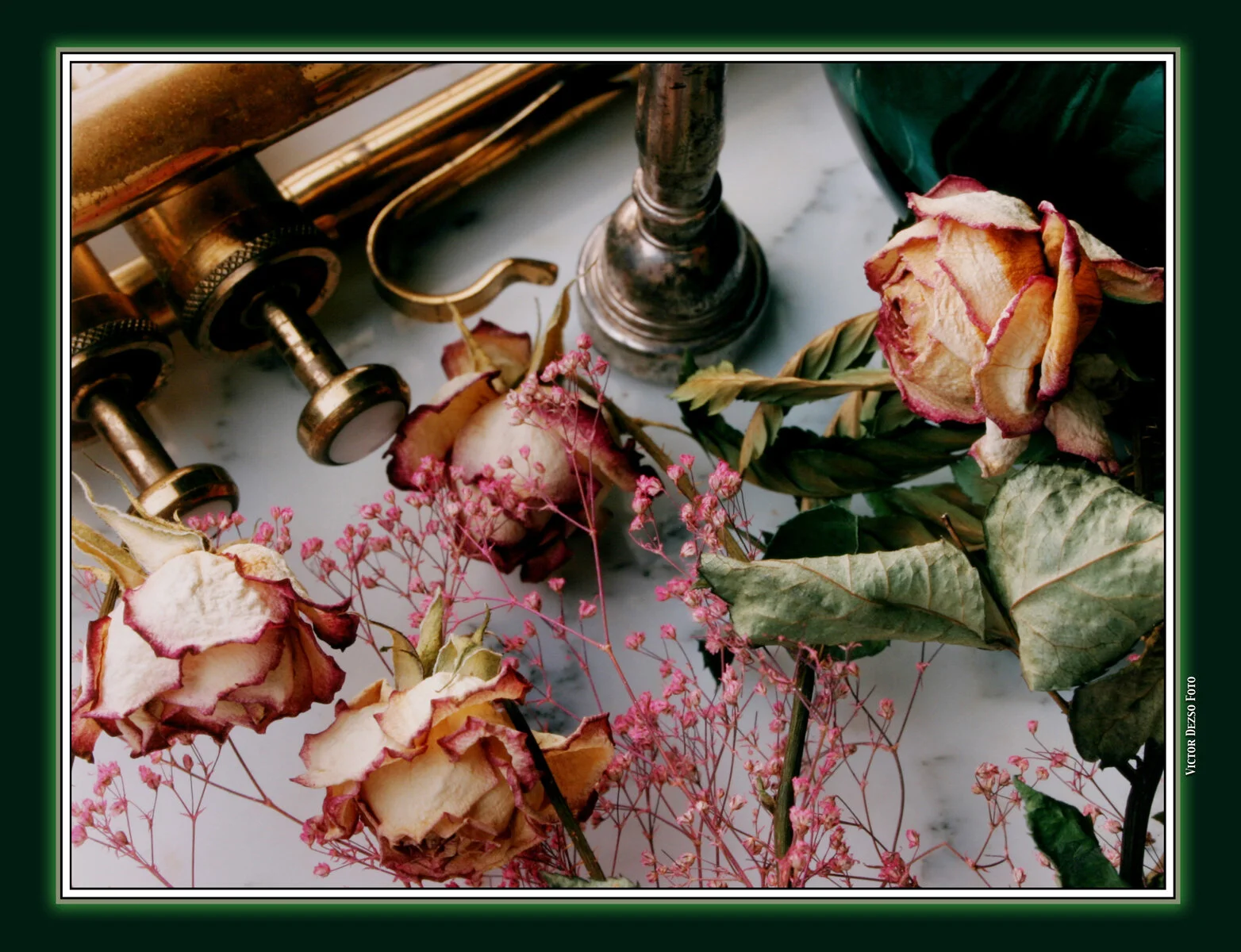 Trumpet&Roses_8147_1_4x6s.jpg