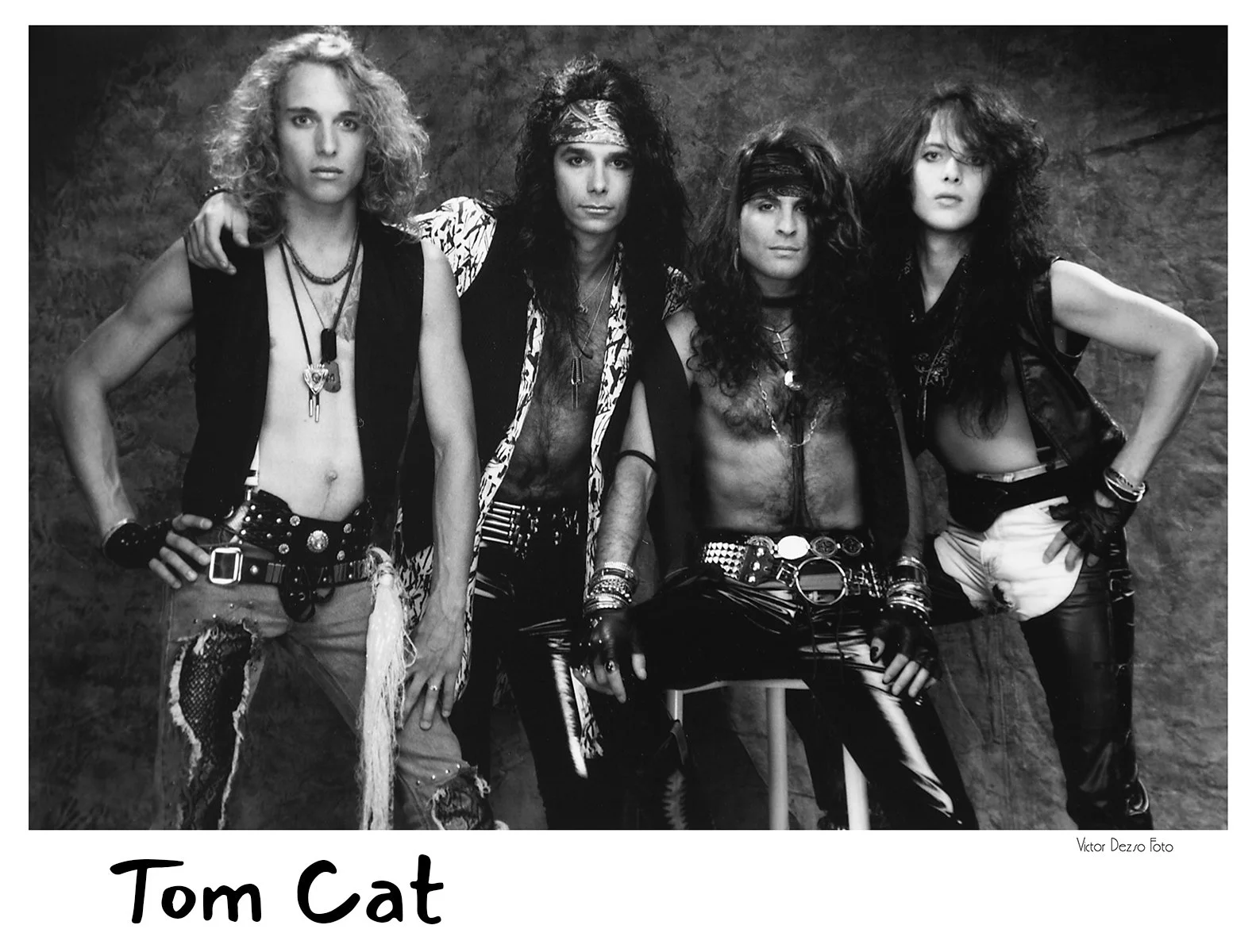 Tom Cat_5766_4x5.jpg