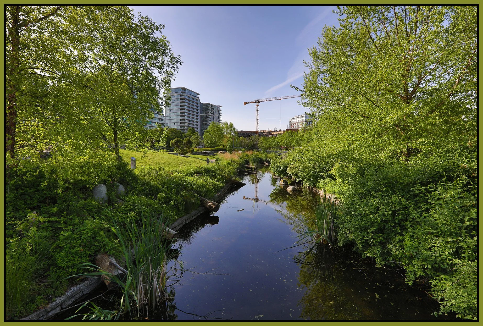 False Ck Creek Vancouver_May 13_2019_HDR_E0841_4x6s.jpg