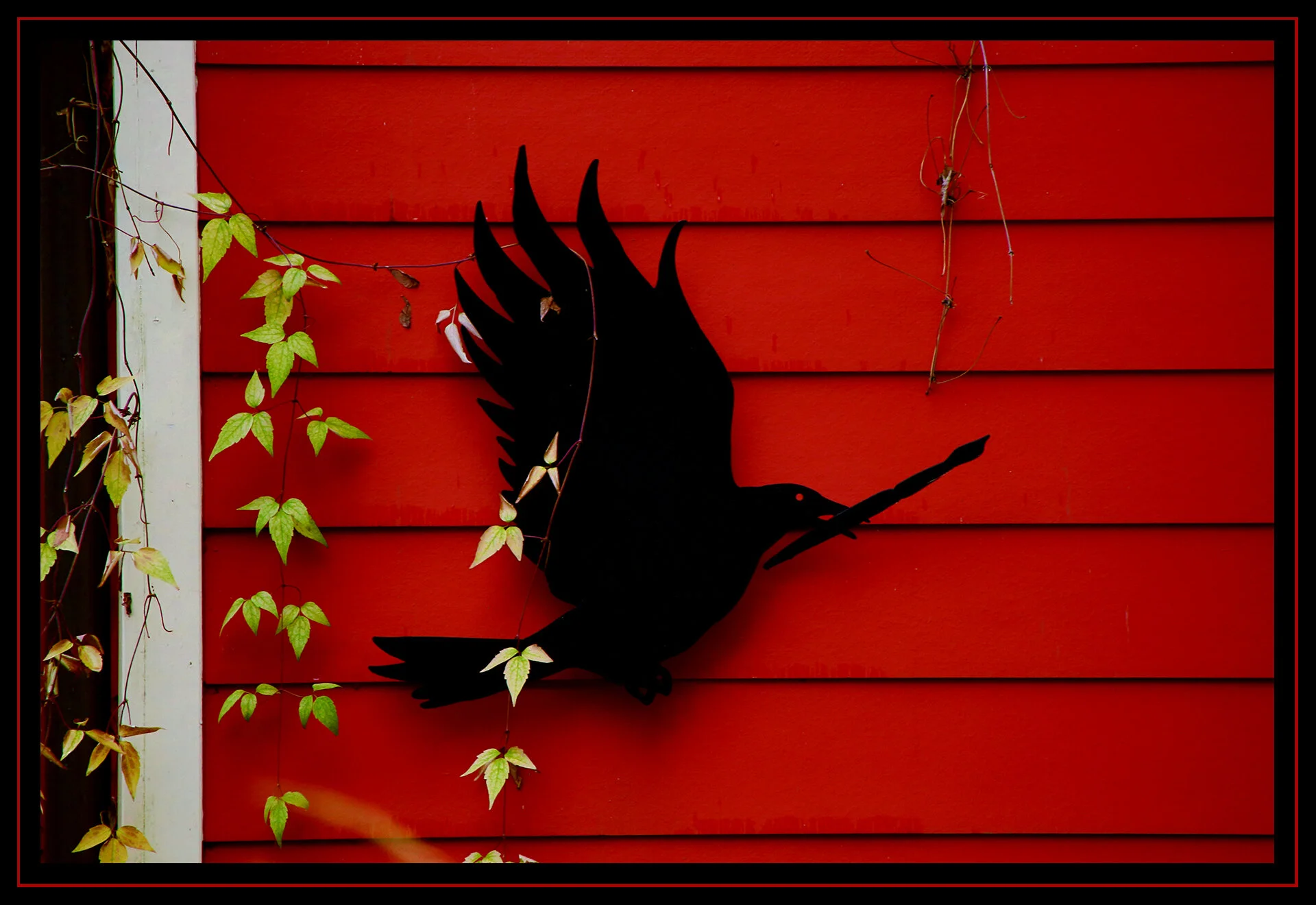 595 E Georgia St Black Bird_Jan 8_2020_HDR_3B6369_4x6s.jpg