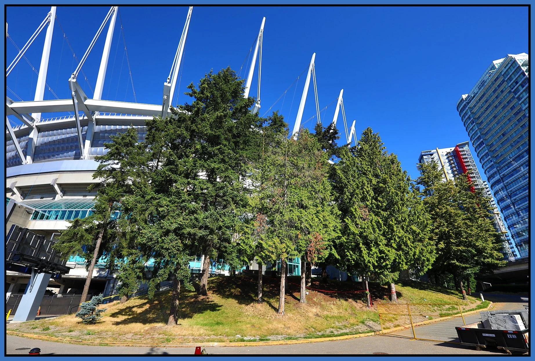 Stadium Trees_Jul 14_2024_HDR_5E7458_4x6s.jpg