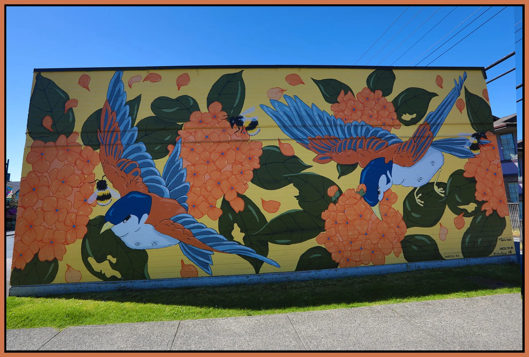 1500 W 65 the Ave Mural_Jun 8_2025_HDR_5F4267_4x6s.jpg