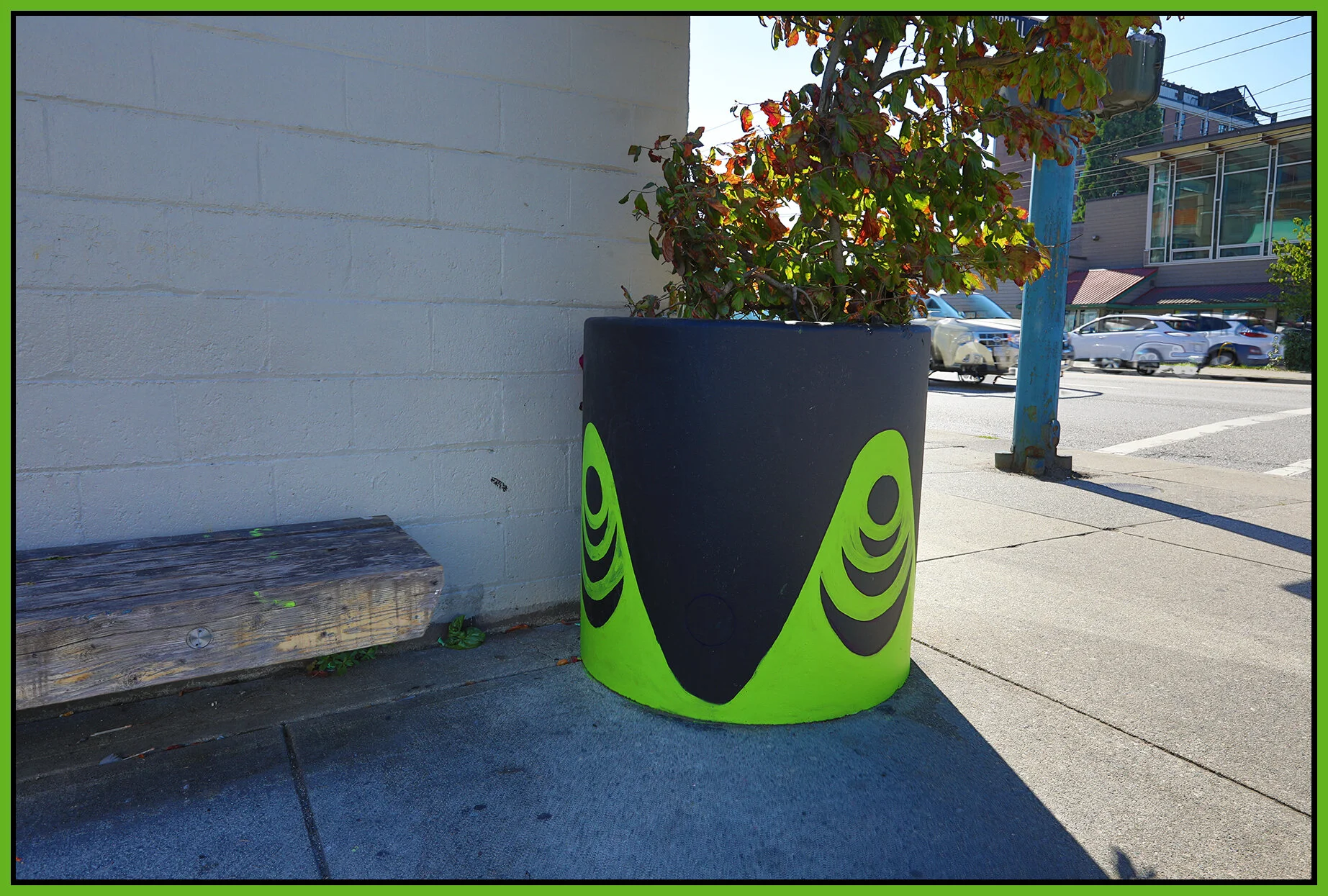 Planter on E Hastings St_Aug 11_2021_HDR_5A8268_4x6s.jpg