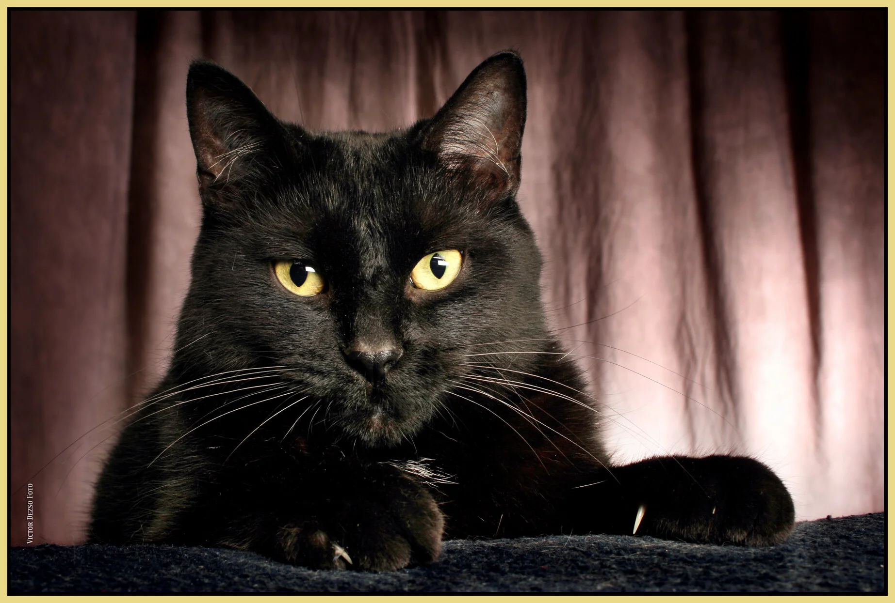 CC_May 31_2007_8194_4x6_1.jpg