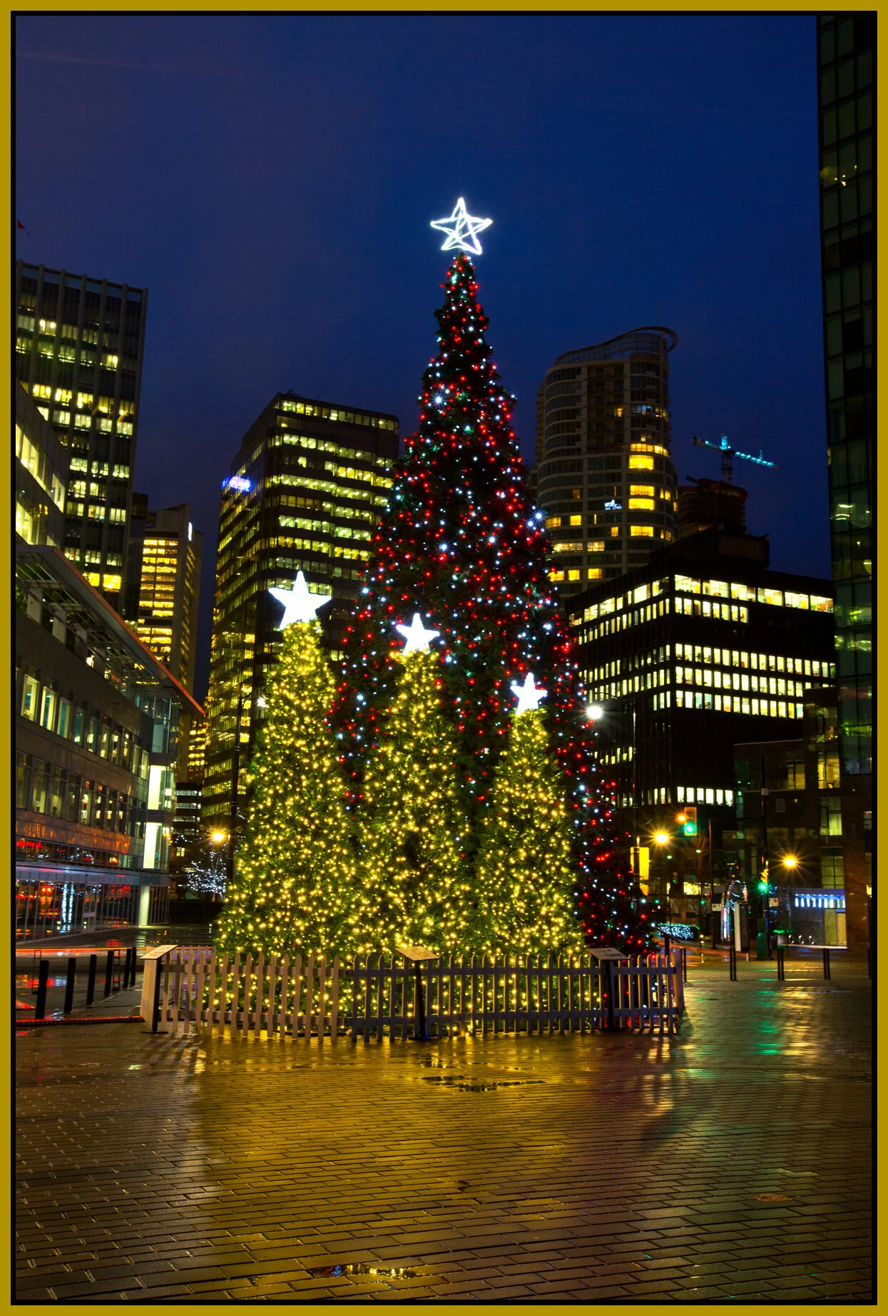 JackPoolePlaza_Dec 19_2014_F1631_4x6s.jpg
