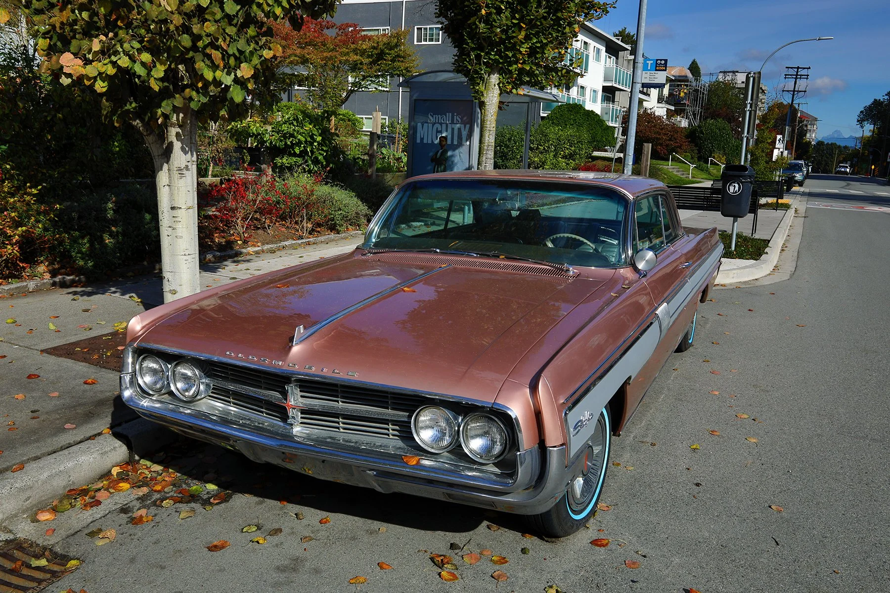 Oldsmobile Starfire 1962_Oct 10_2024_HDR_5E2470_4x6.jpg