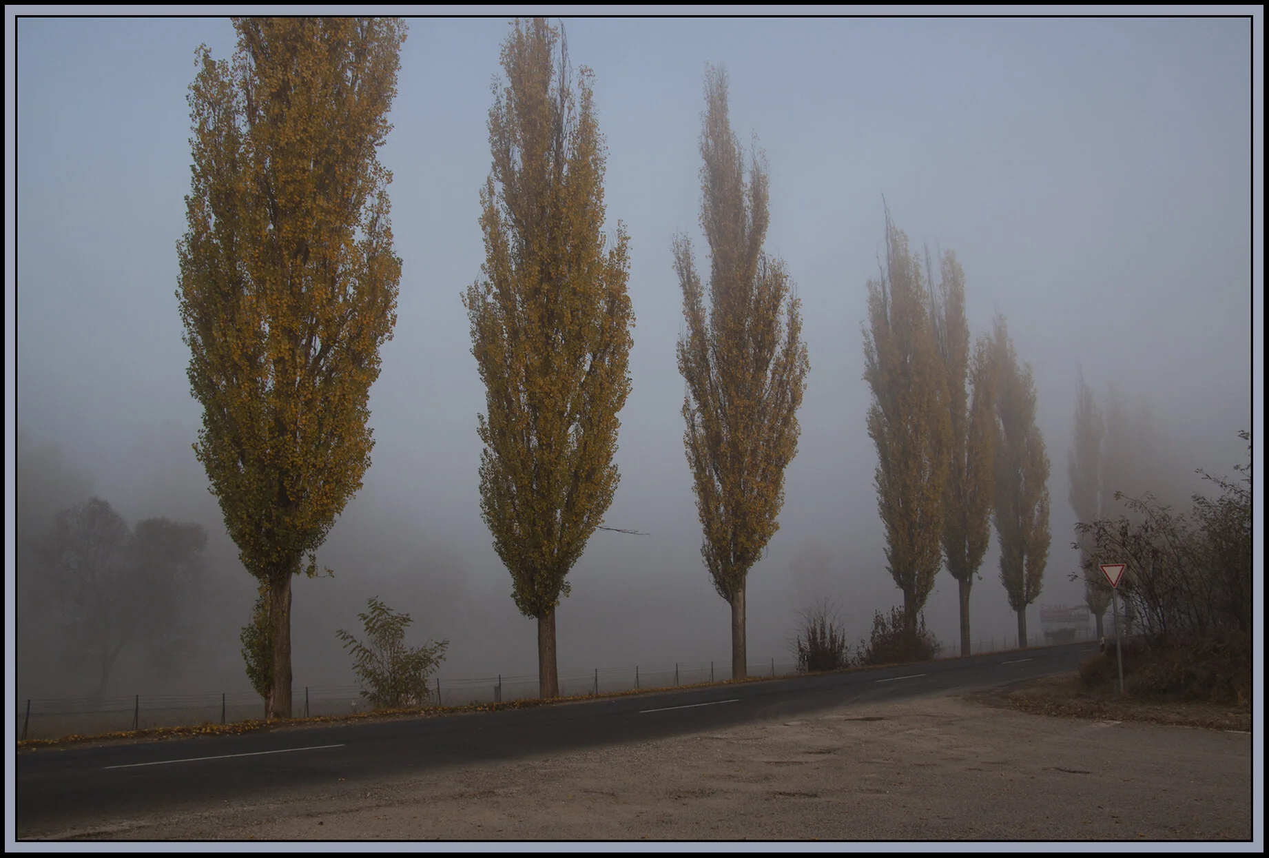 Váci ut_Nov 3_2011_4642_4x6s.jpg