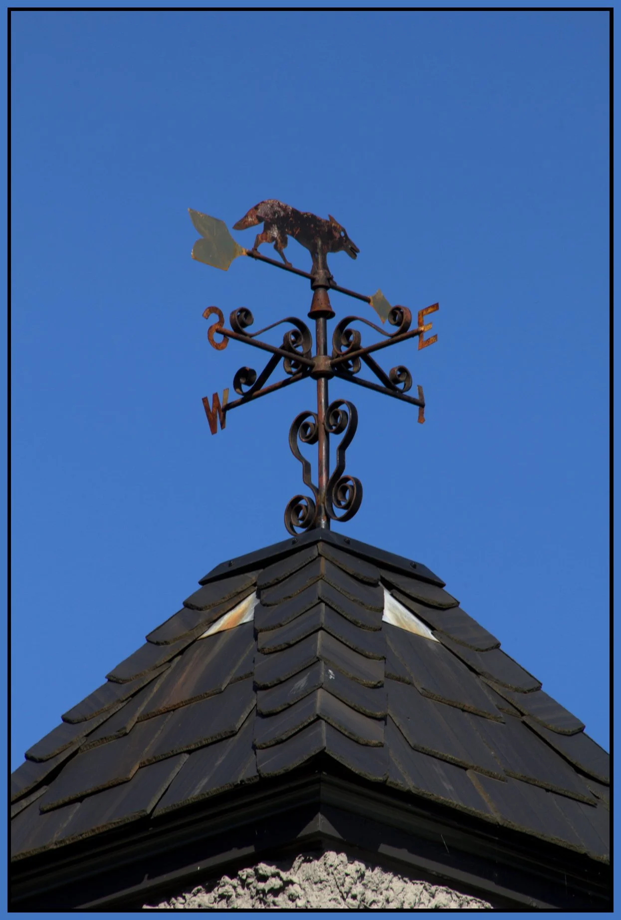 Weather Vane_Mar 25_2012_1770_4x6s.jpg