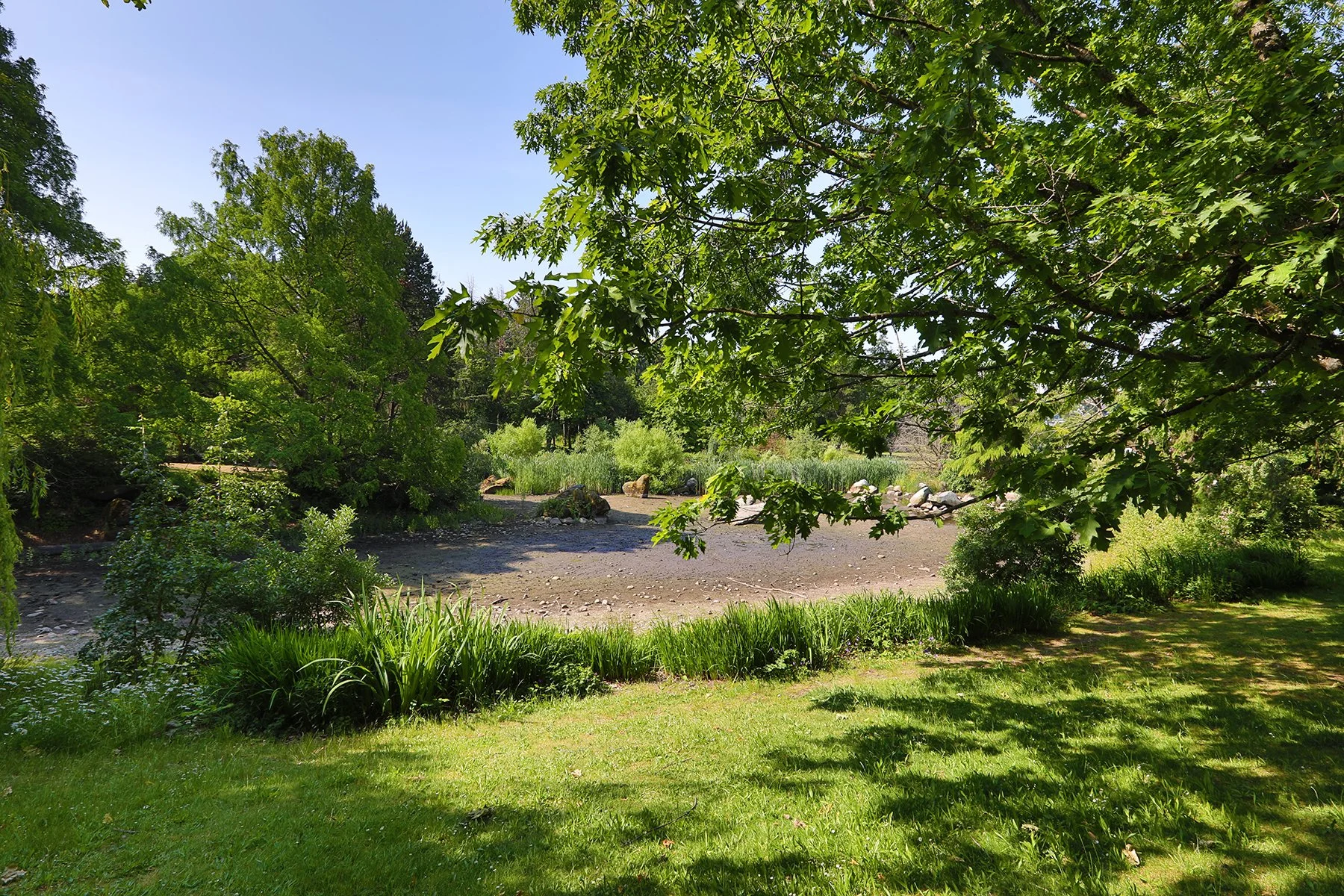 Charleson Park Pond_Jun 14_2025_HDR_4J6245_4x6.jpg