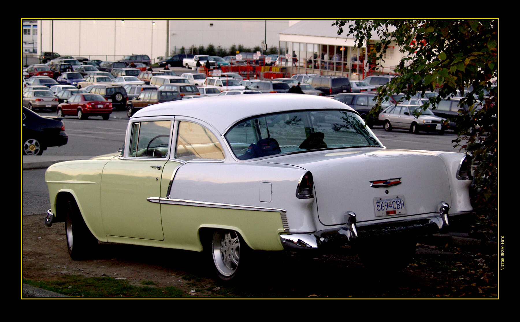 Chevy 1956_11_02_02_41_1_4x6s.jpg