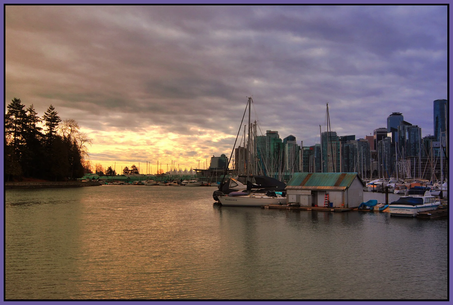 Vancouver from Stanley Park LkgE_Feb 20_2026_HDR_5F6071_peW&C contrst_4x6s.jpg