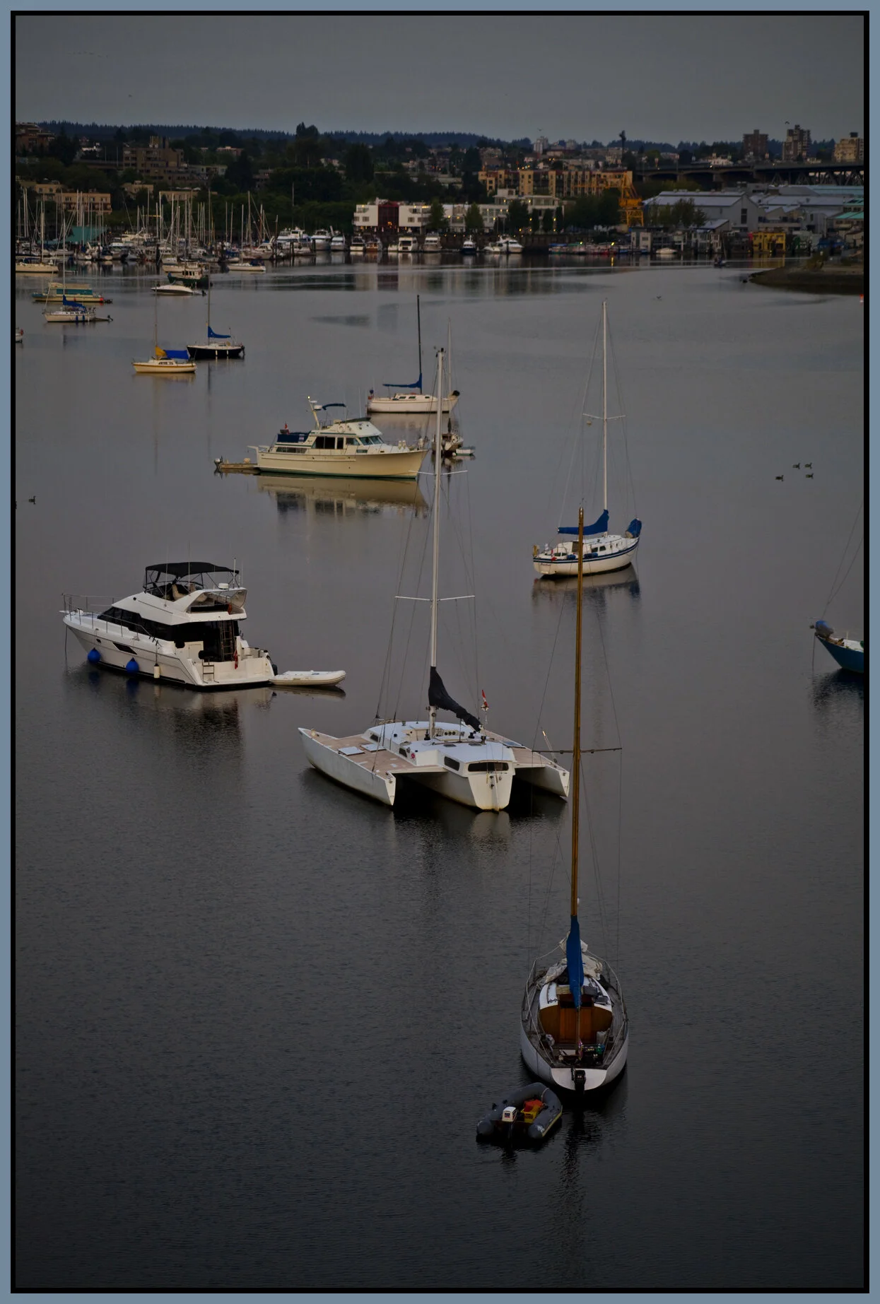 Cambie Br LkgW_Aug 30 09_8343vel_4x6s.jpg