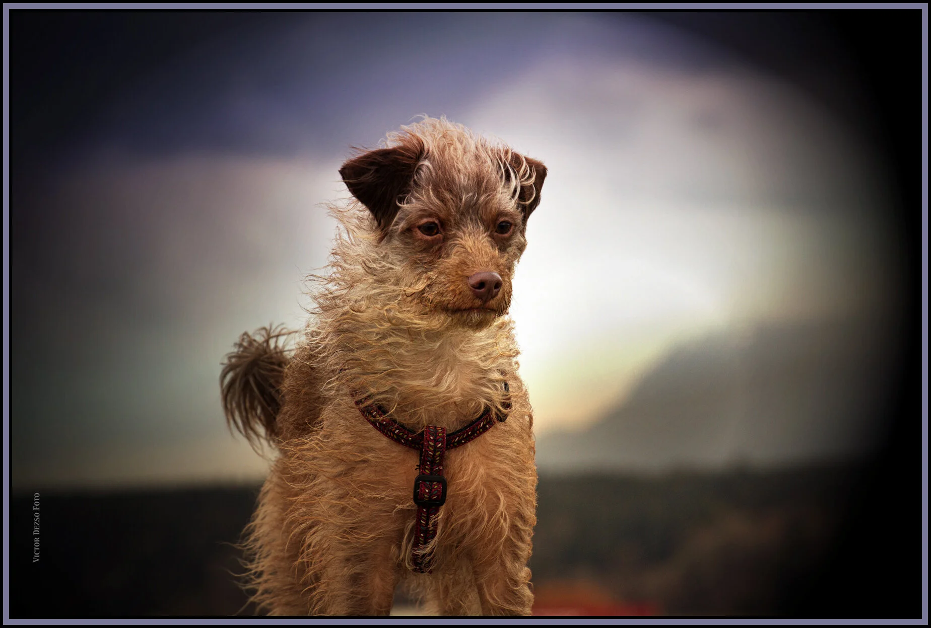 Frances at Iona Beach_Mar 8_2016_8273_peIntnsSunSt_4x6s.jpg