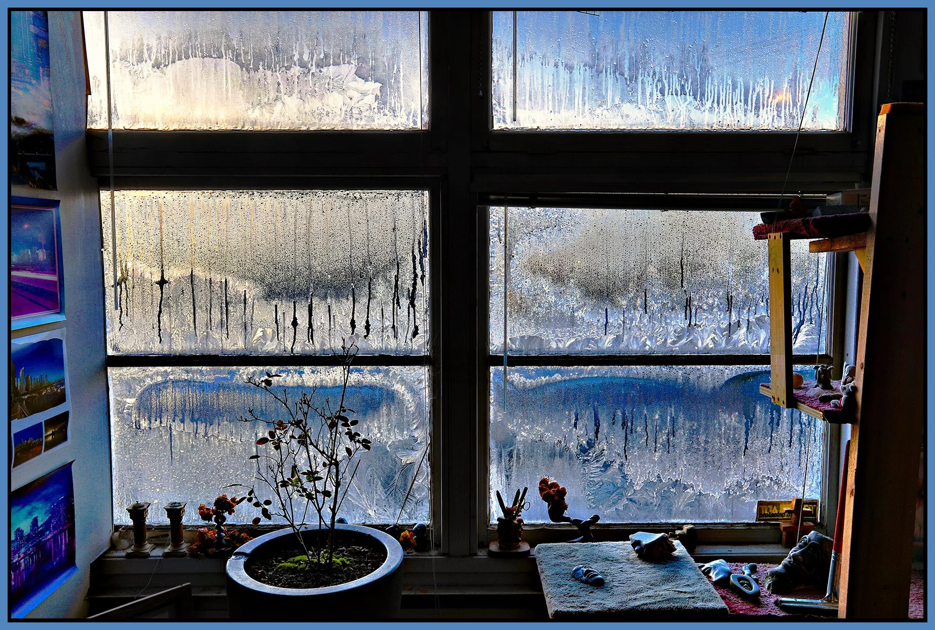 Frosty Windows_Jan 12_2024_HDR_4H0304_peVenice_4x6s.jpg