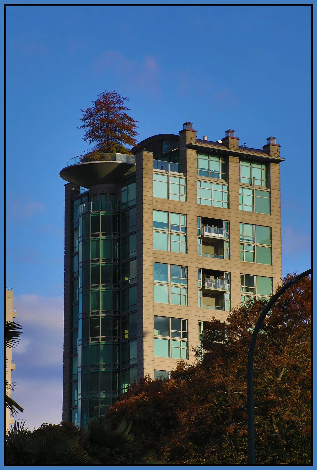 1919 Beach Ave Tree_Oct 23_2023_HDR_5C8476_4x6s.jpg