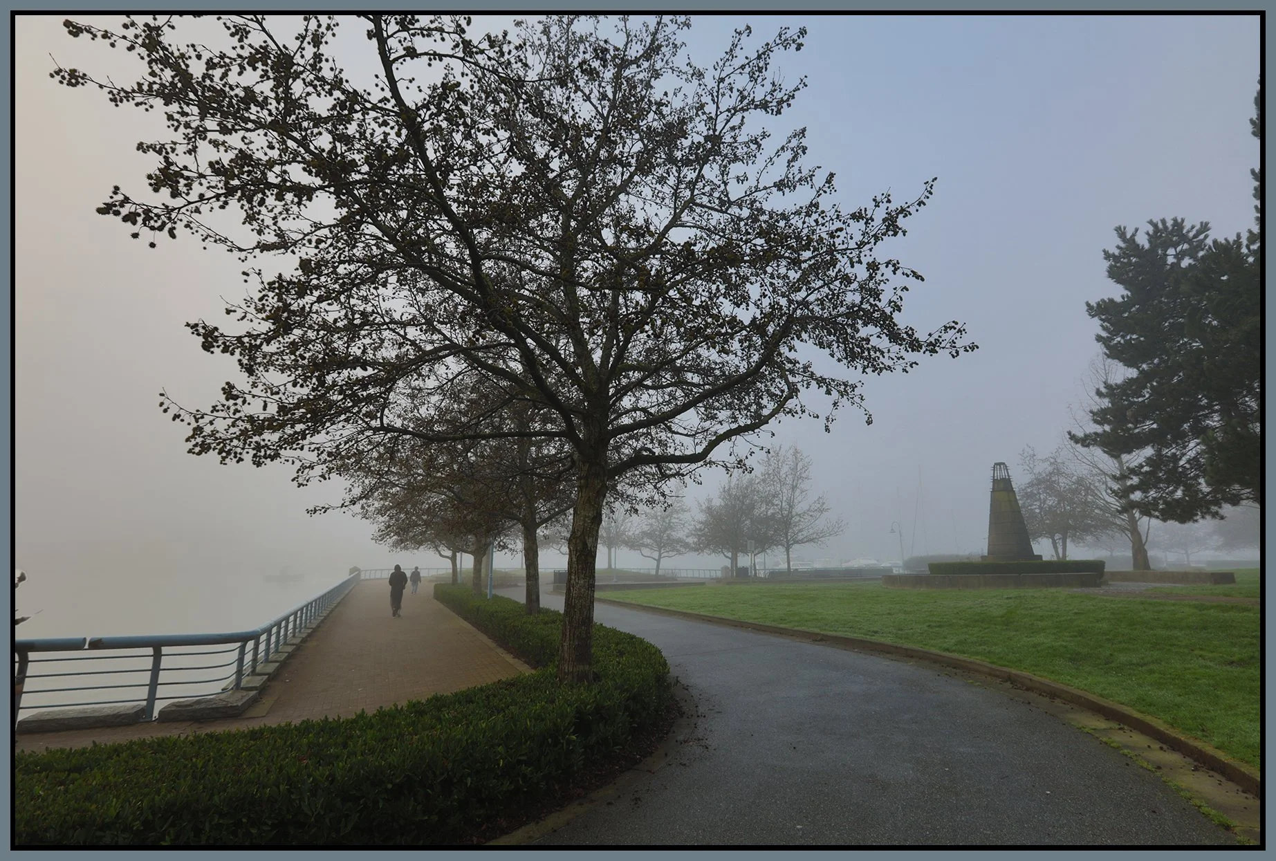 Concord Pacific Trees LkgS_Jan 19_2026_HDR_4K7290_4x6s.jpg